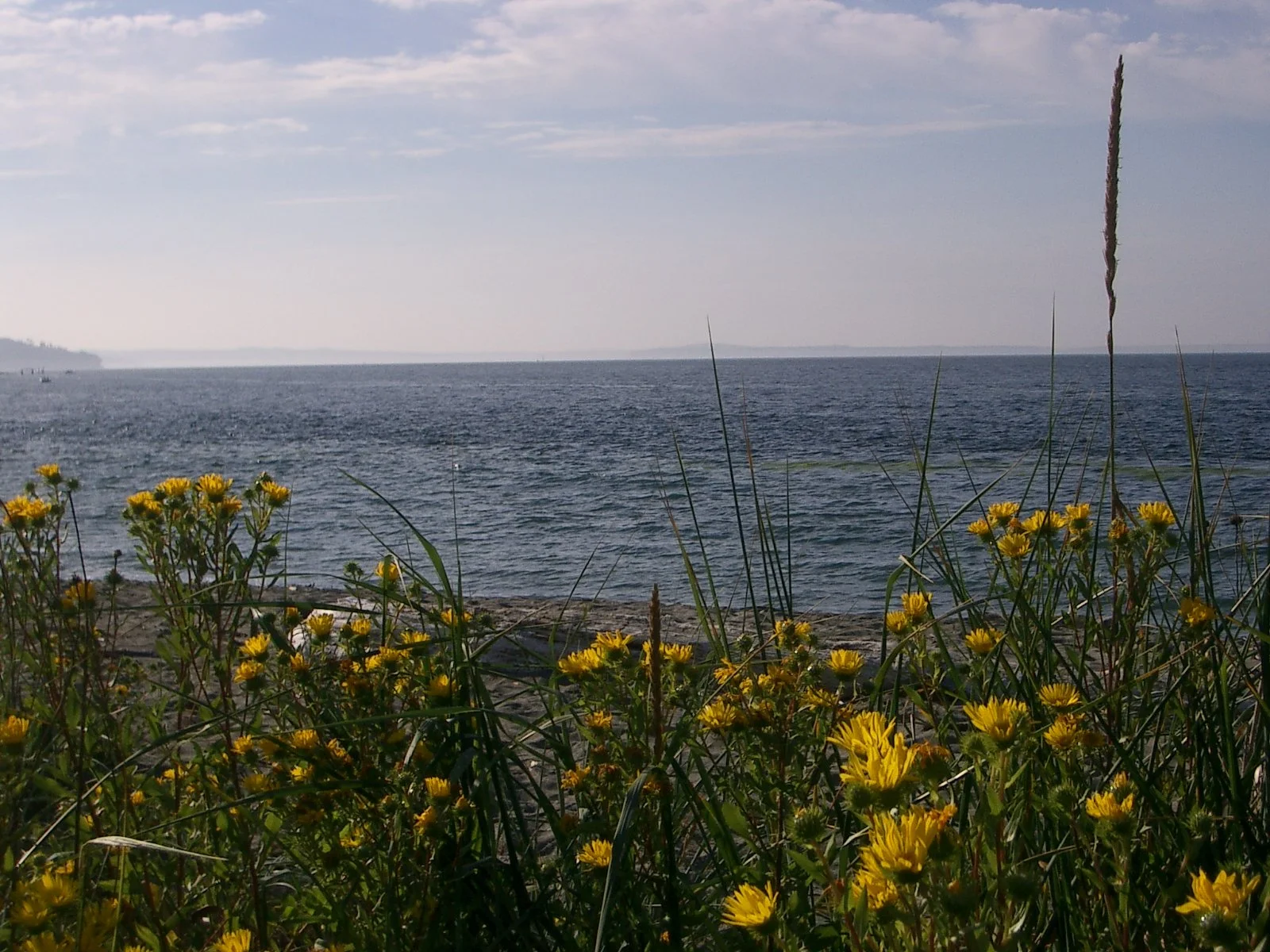 2003-7-31 FAMILY REUNION IN WASHINGTON AND CANADA (12).JPG