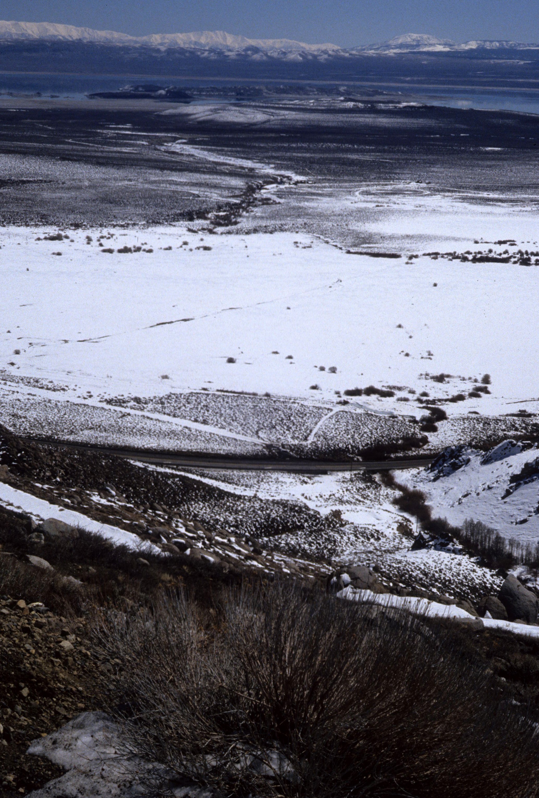 CALIFORNIA - MONO LAKE - VIEW IN SNOW  (2).jpg
