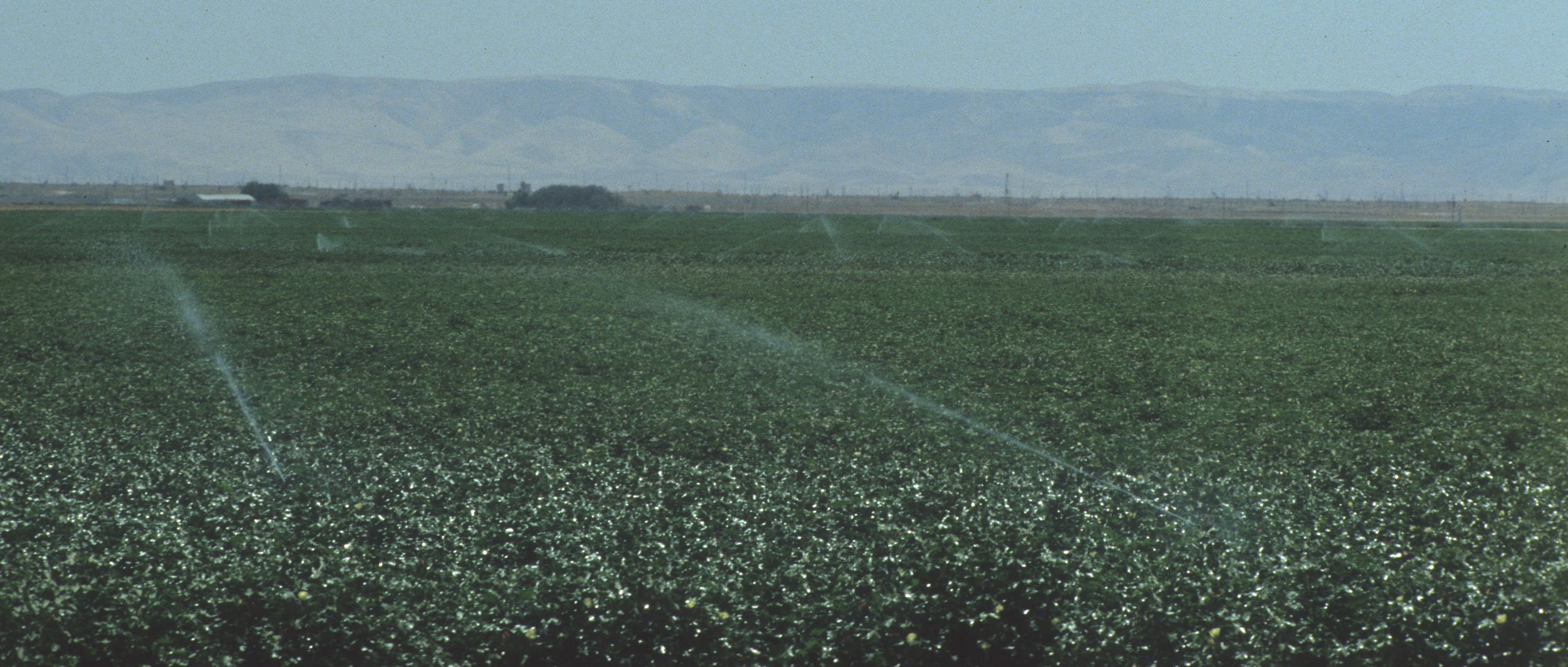 CALIFORNIA - CENTRAL VALLEY - SAN JOAQUIN C.jpg