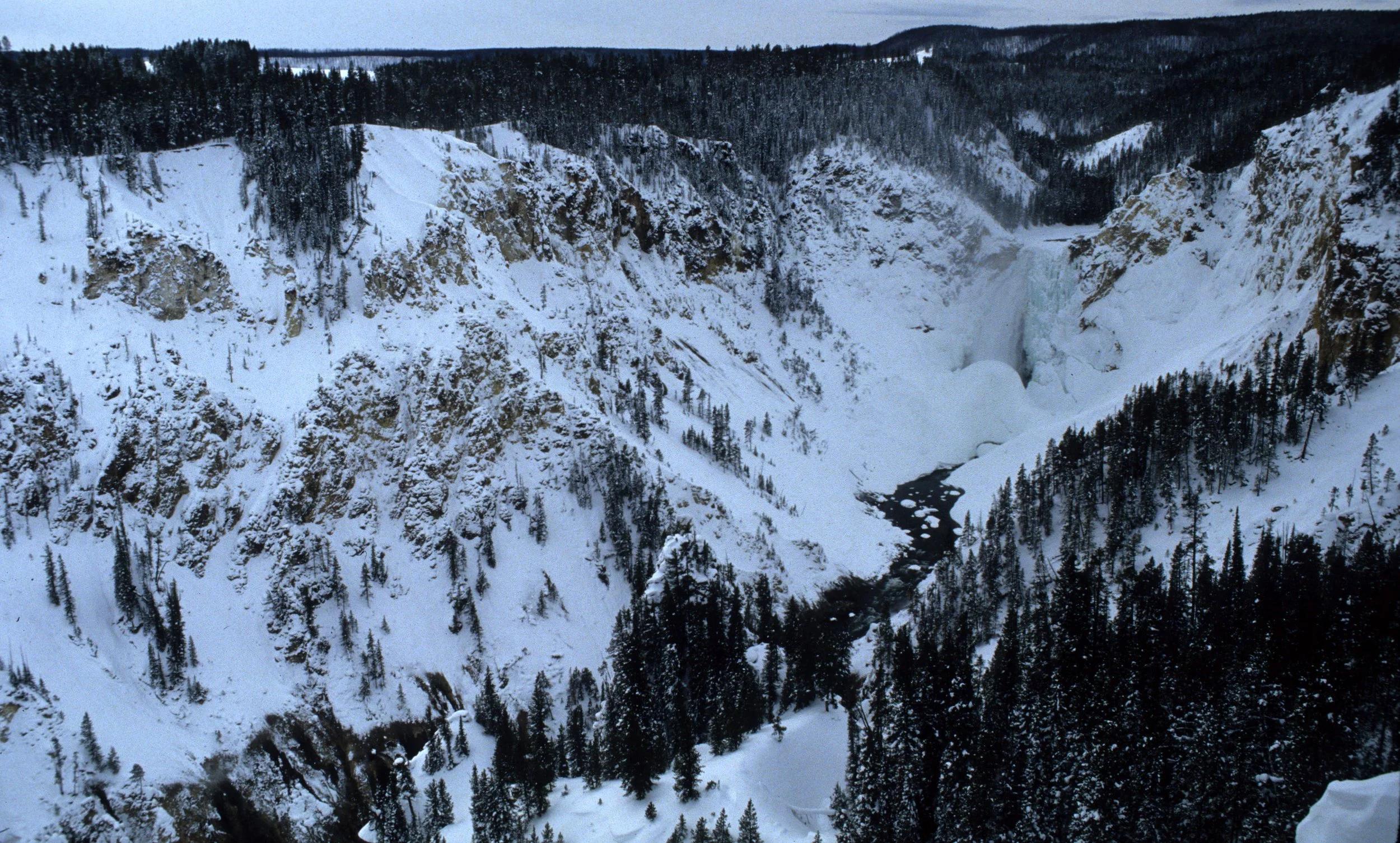 YELLOWSTONE - CANYON VIEW N.jpg