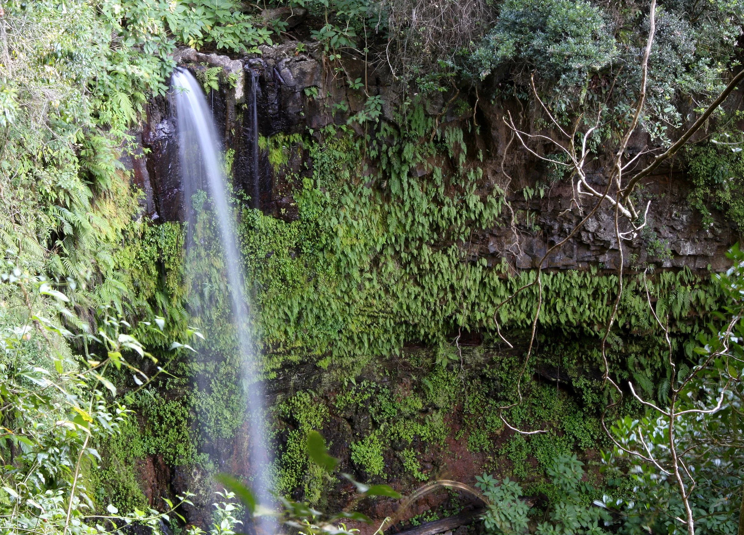 MONTAGNE D'AMBRE NATIONAL PARK - SACRED FALLS (21).JPG