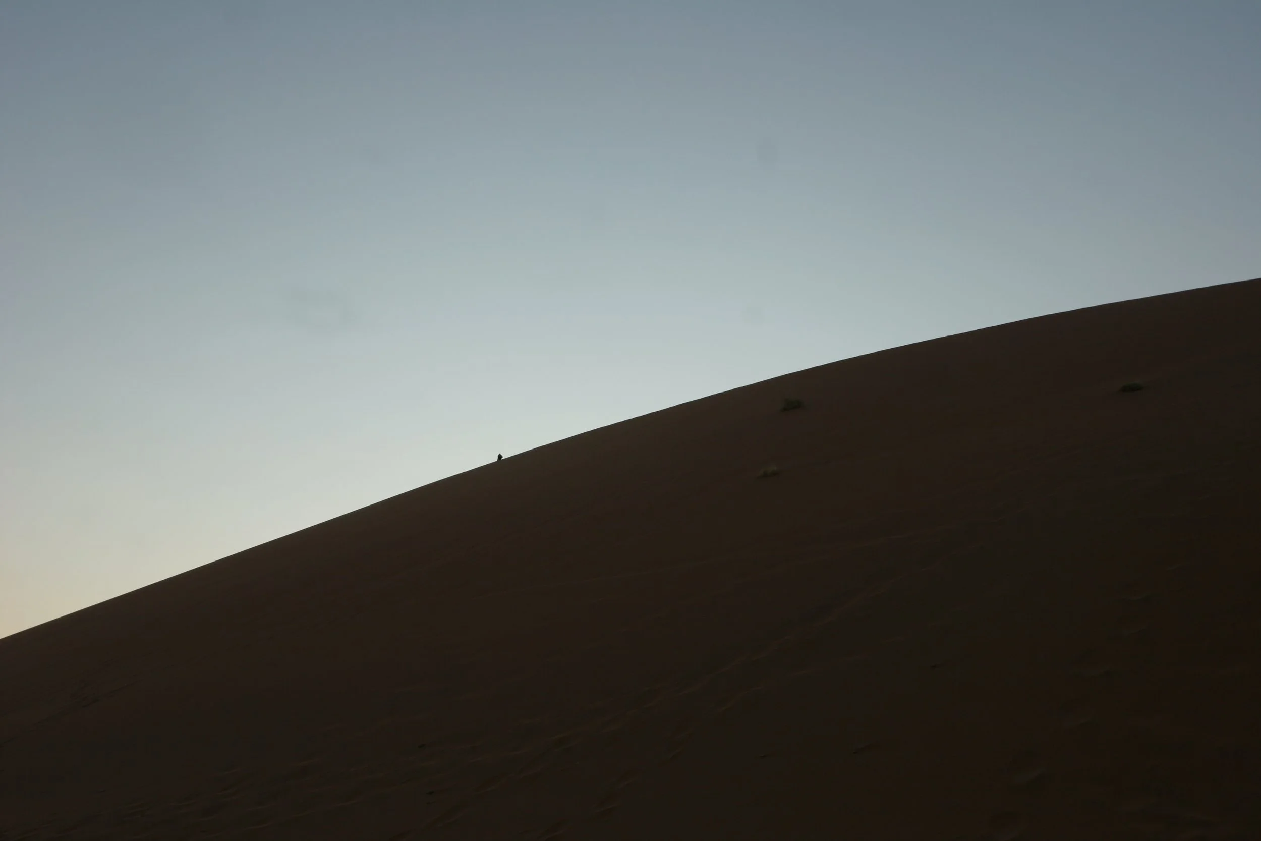 NAMIBIA - SOSSUSVLEI - DUNES - NAMIBIA (15).JPG