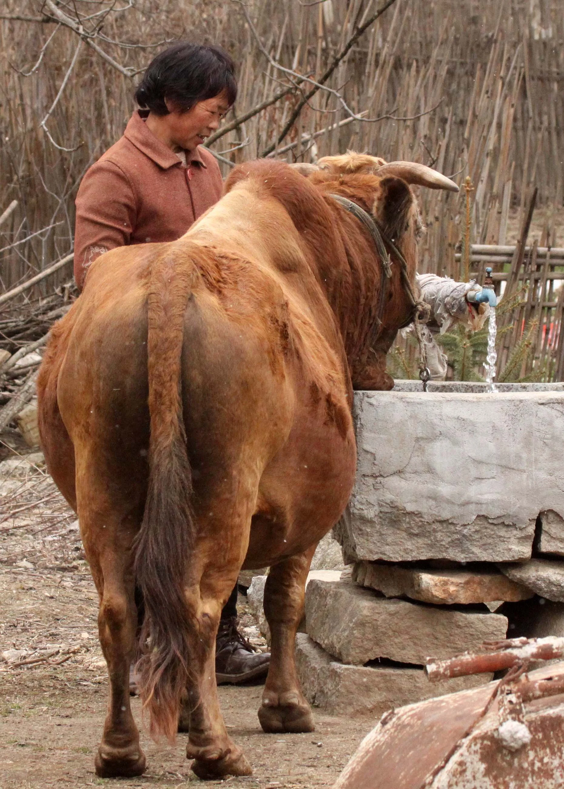 FOPING NATURE RESERVE - SHAANXI PROVINCE CHINA (97).JPG