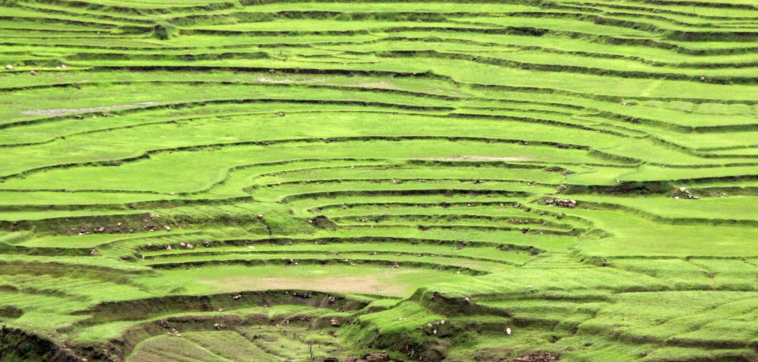 SICHUAN - COUNTRYSIDE NEAR WAWU SHAN - CHINA ALIVE 2011 (15).JPG