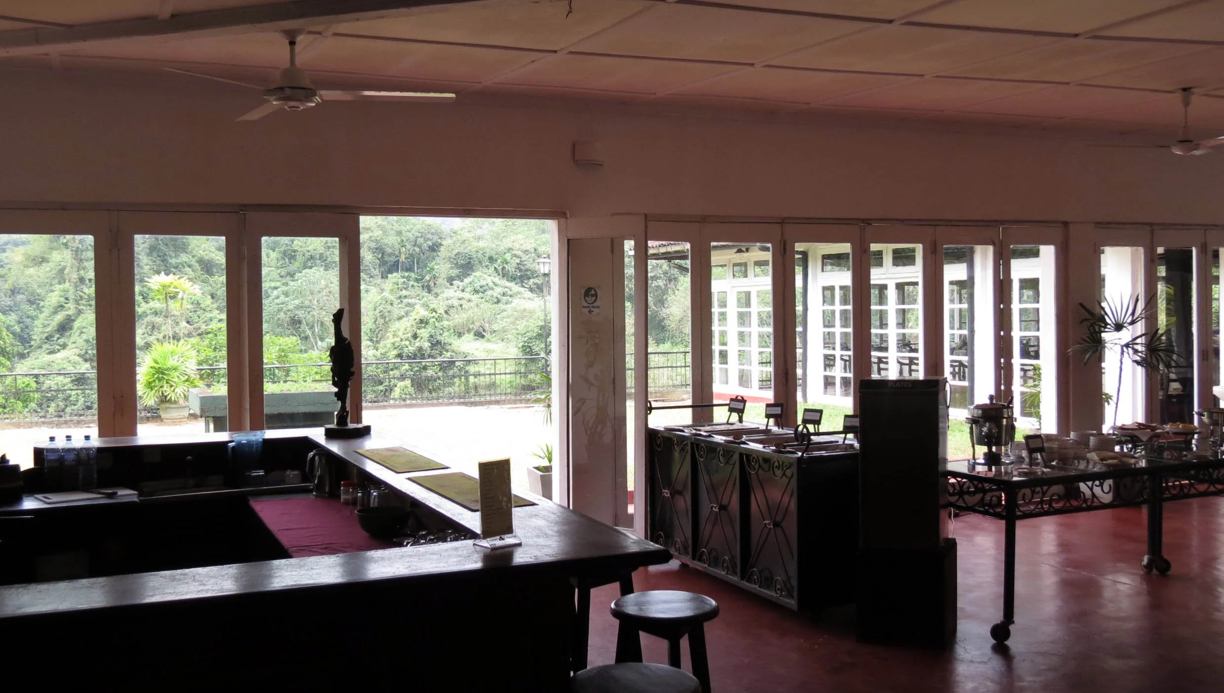 KITULGALA FOREST PRESERVE SRI LANKA (91).JPG