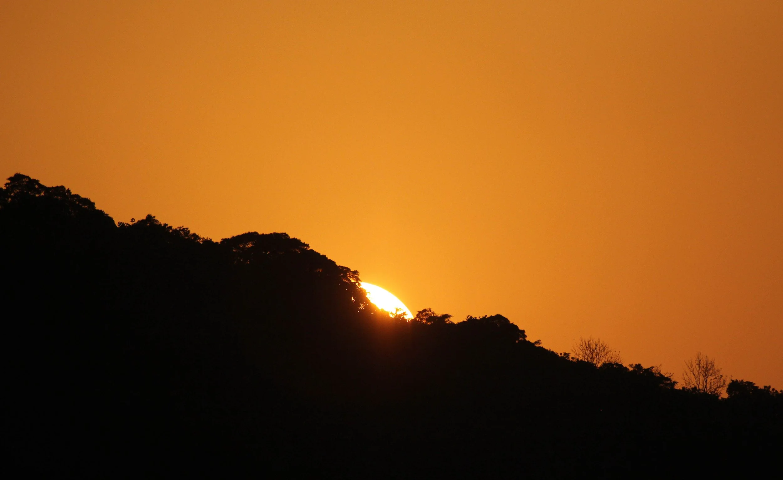 2014 Similan Islands Marine Park Thailand ISB Dive Trip (66).JPG