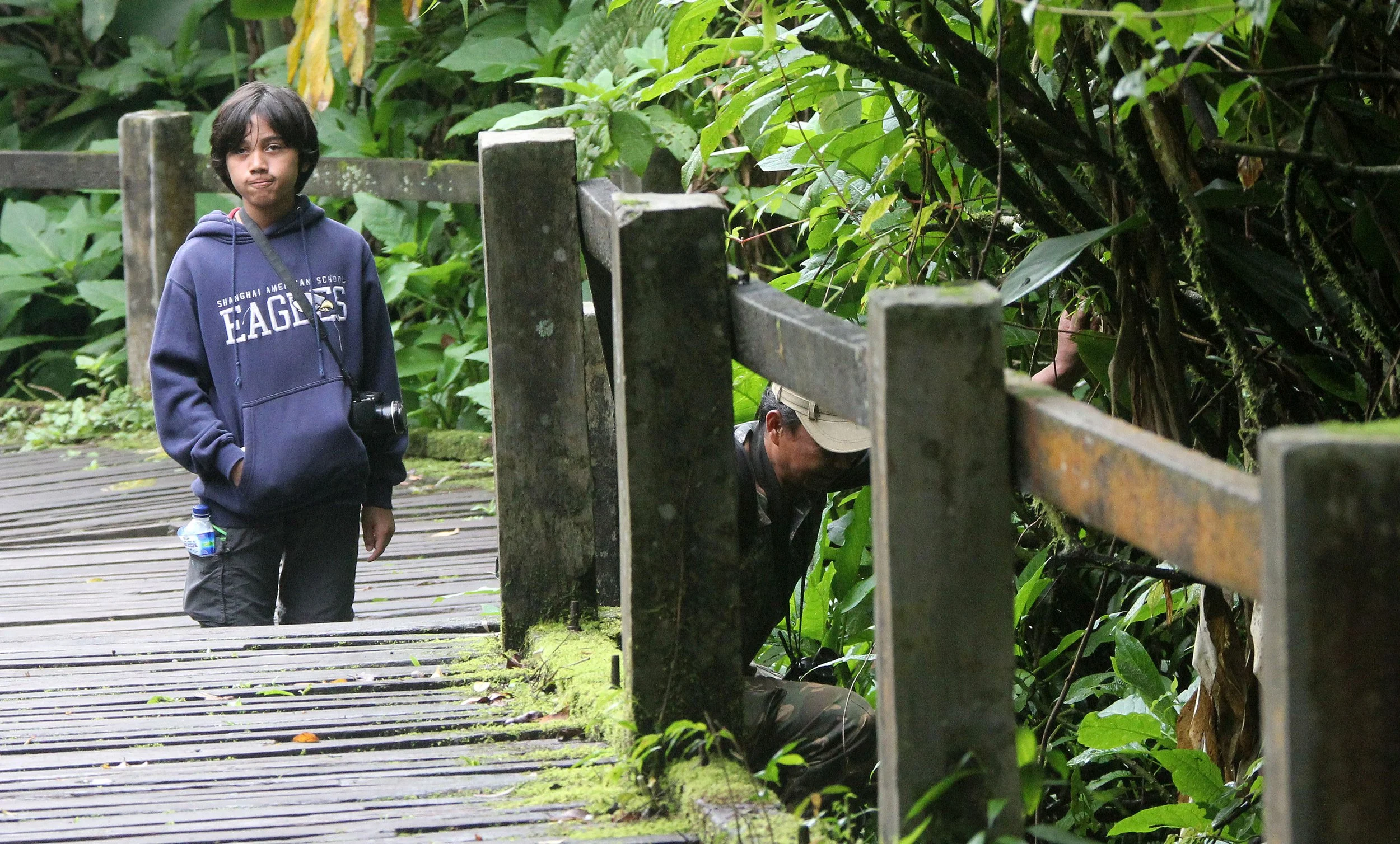 GEDE NATIONAL PARK - JAVA BARAT INDONESIA (11).JPG