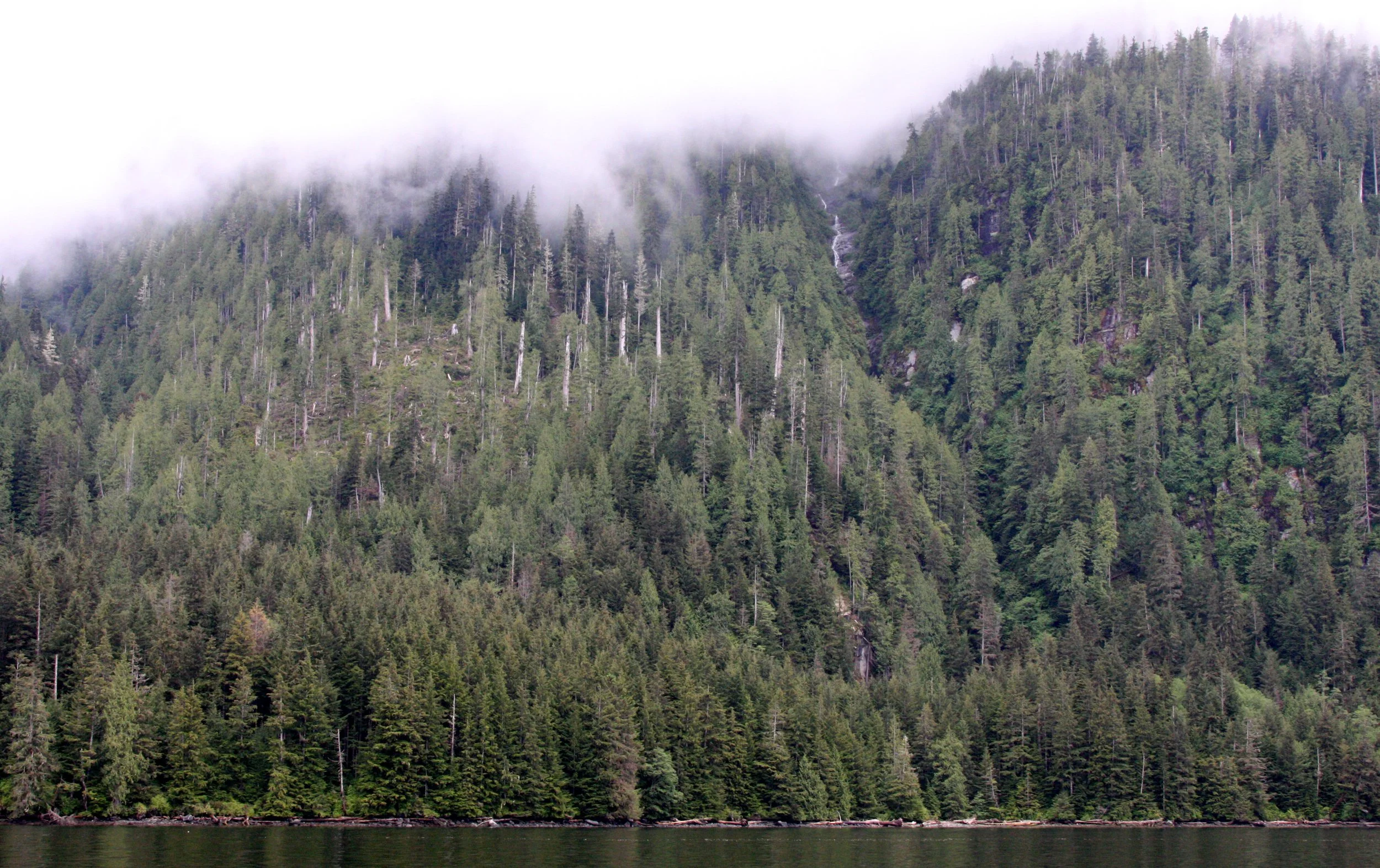 KNIGHT'S INLET BRITISH COLUMBIA (28).JPG
