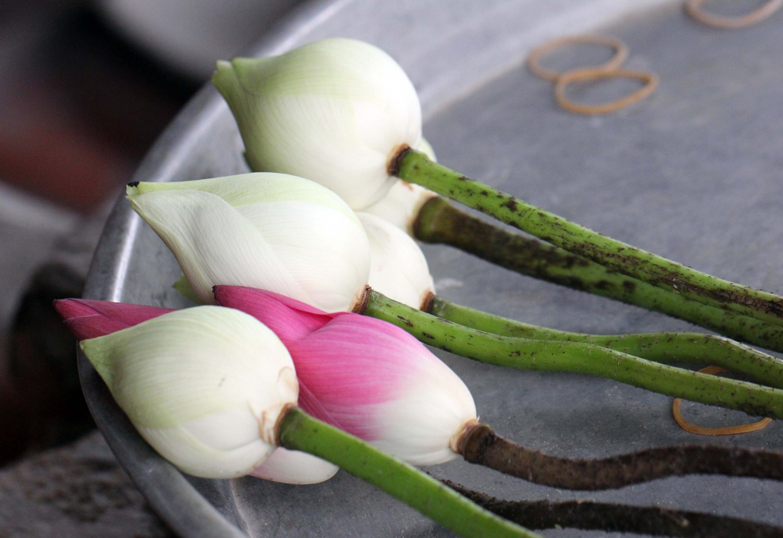 2013 Ayutthaya ISB Passion Day (135).JPG