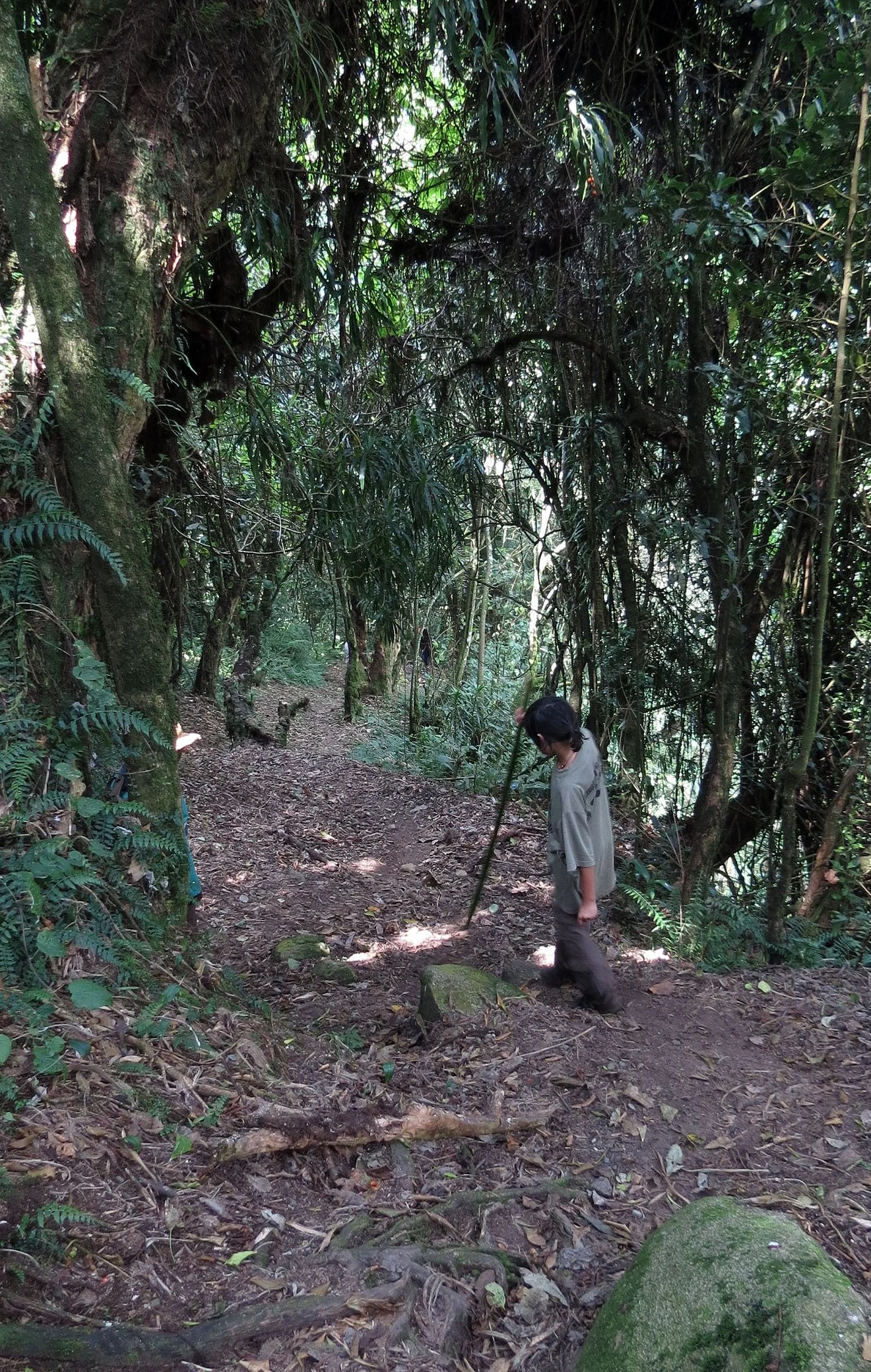 RWENZORI NATIONAL PARK UGANDA (282).JPG