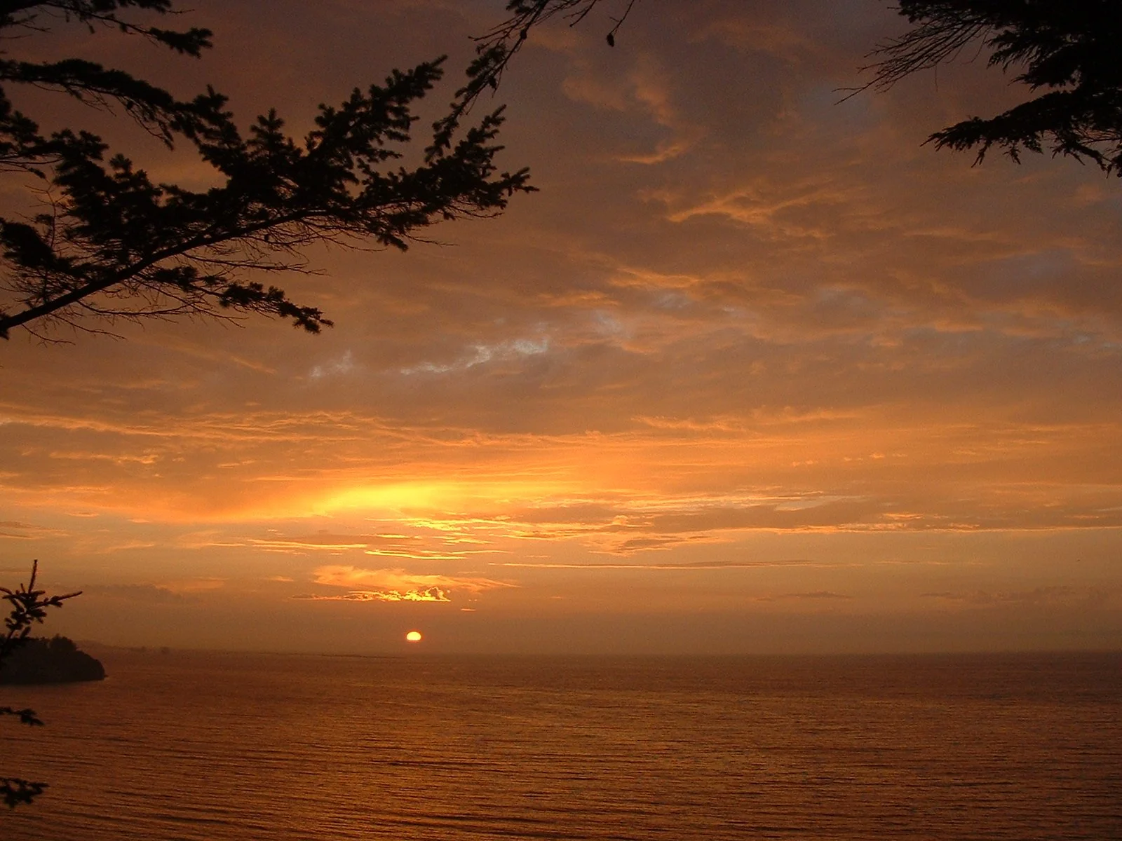 2003-8-1 WASHINGTON VISIT FROM ROBINSONS ET AL (139).JPG