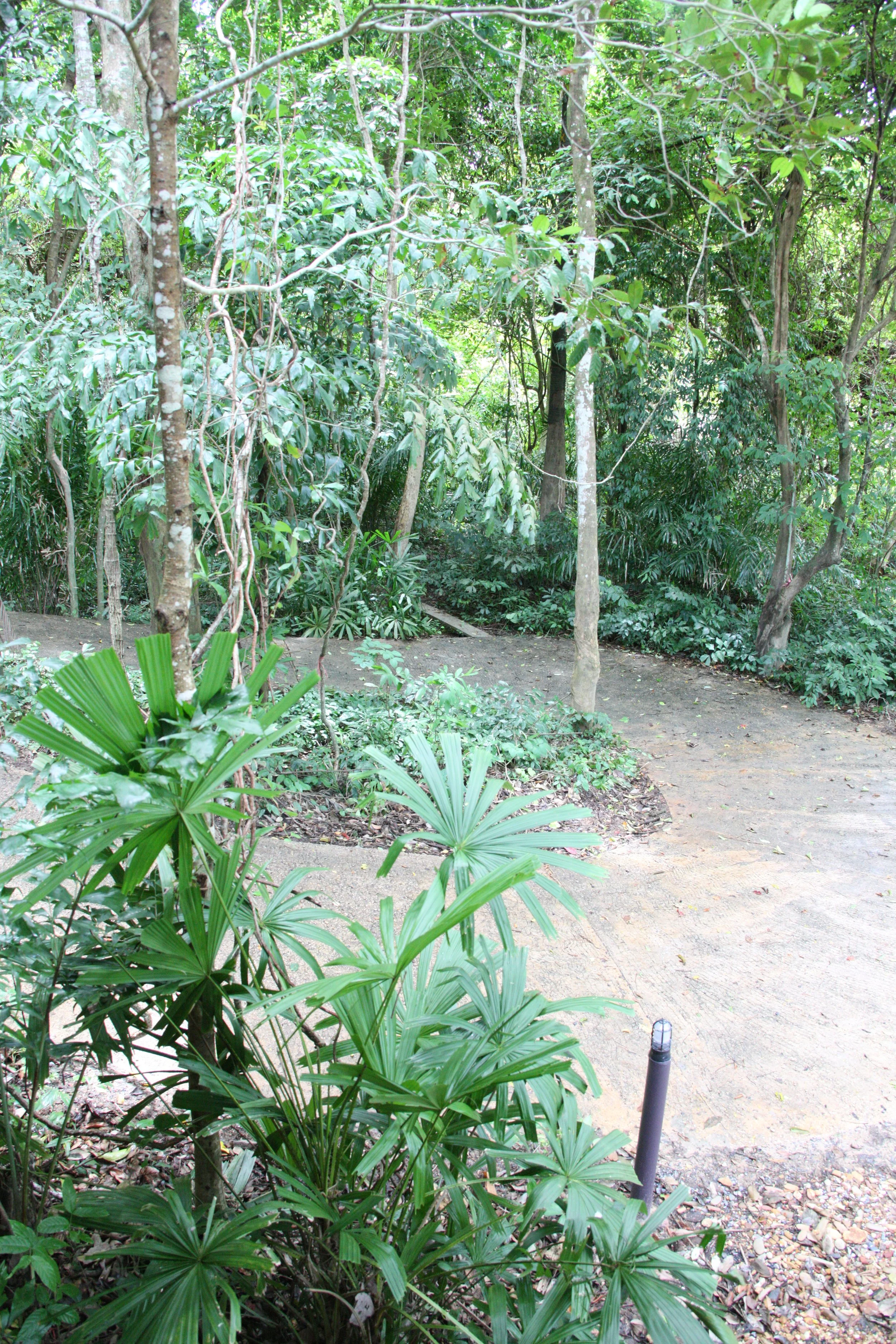 2016 Koh Lanta Landscapes, House Pictures and Family Fun (433).JPG