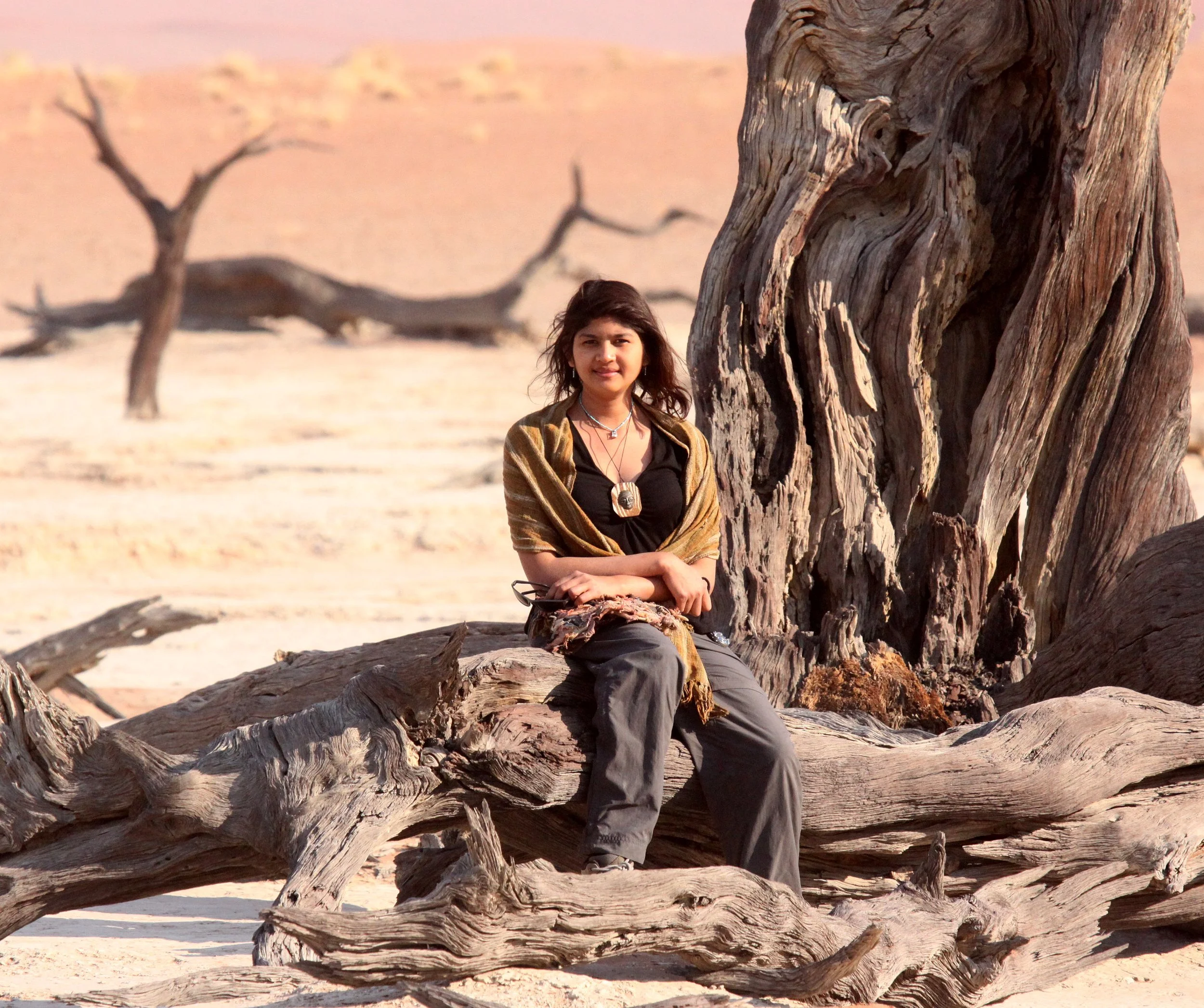 SOSSUSVLEI, NAMIB NAUKLUFT NATIONAL PARK, NAMIBIA - DEAD VLEI (38).JPG