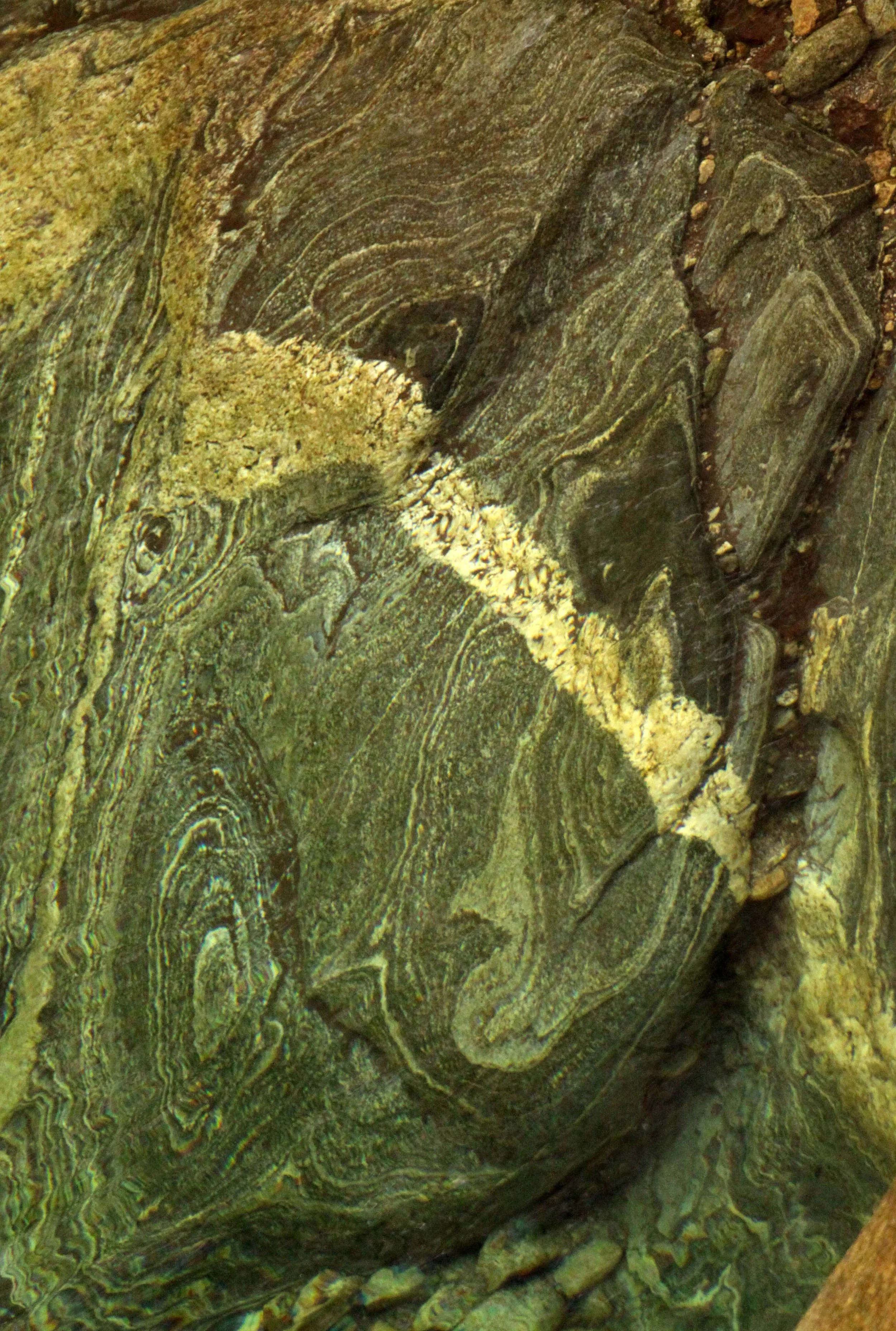 FOPING NATURE RESERVE - SHAANXI PROVINCE CHINA (111).JPG