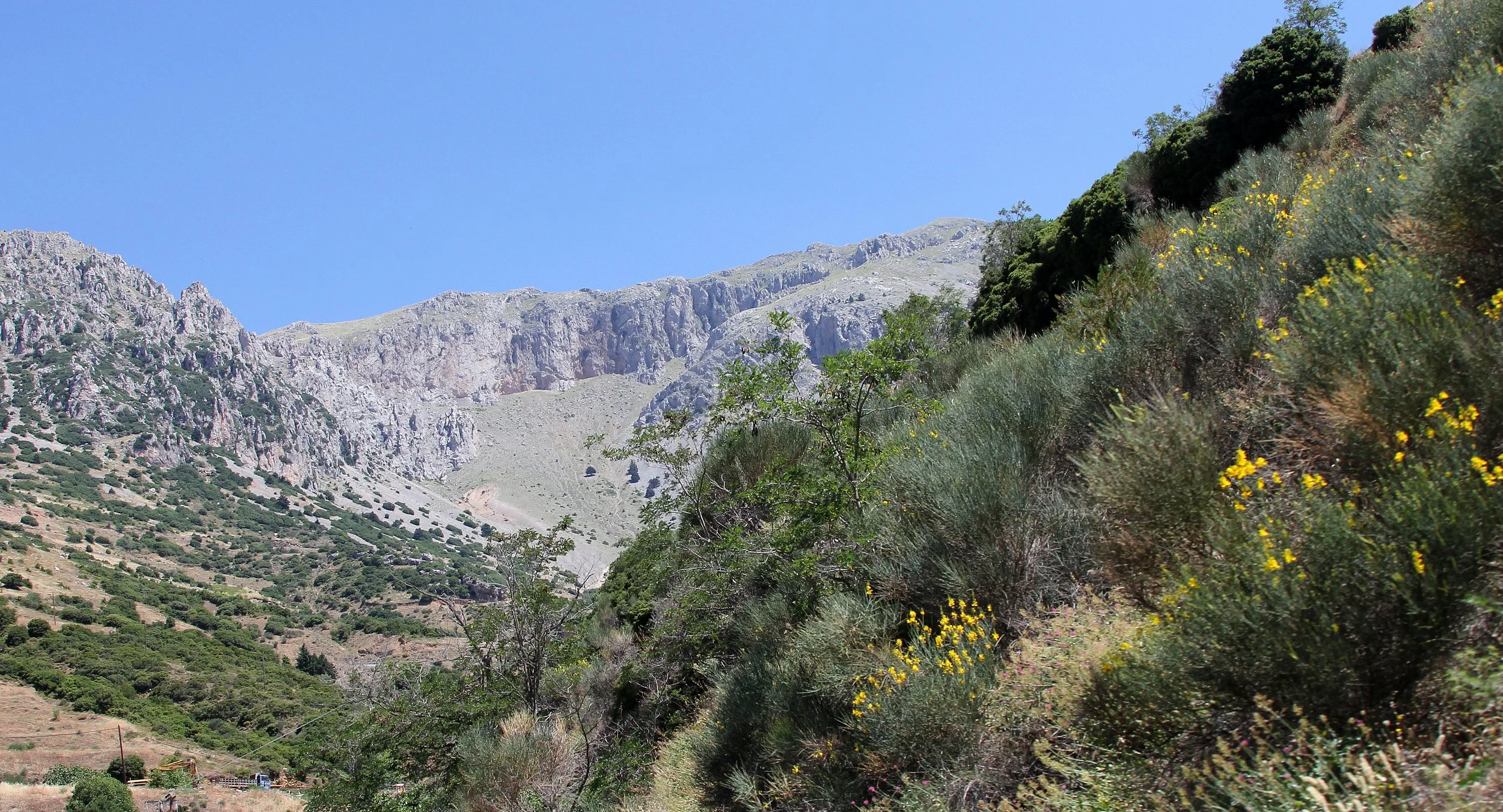 DELPHI GREECE - JUNE 2013 (2).JPG