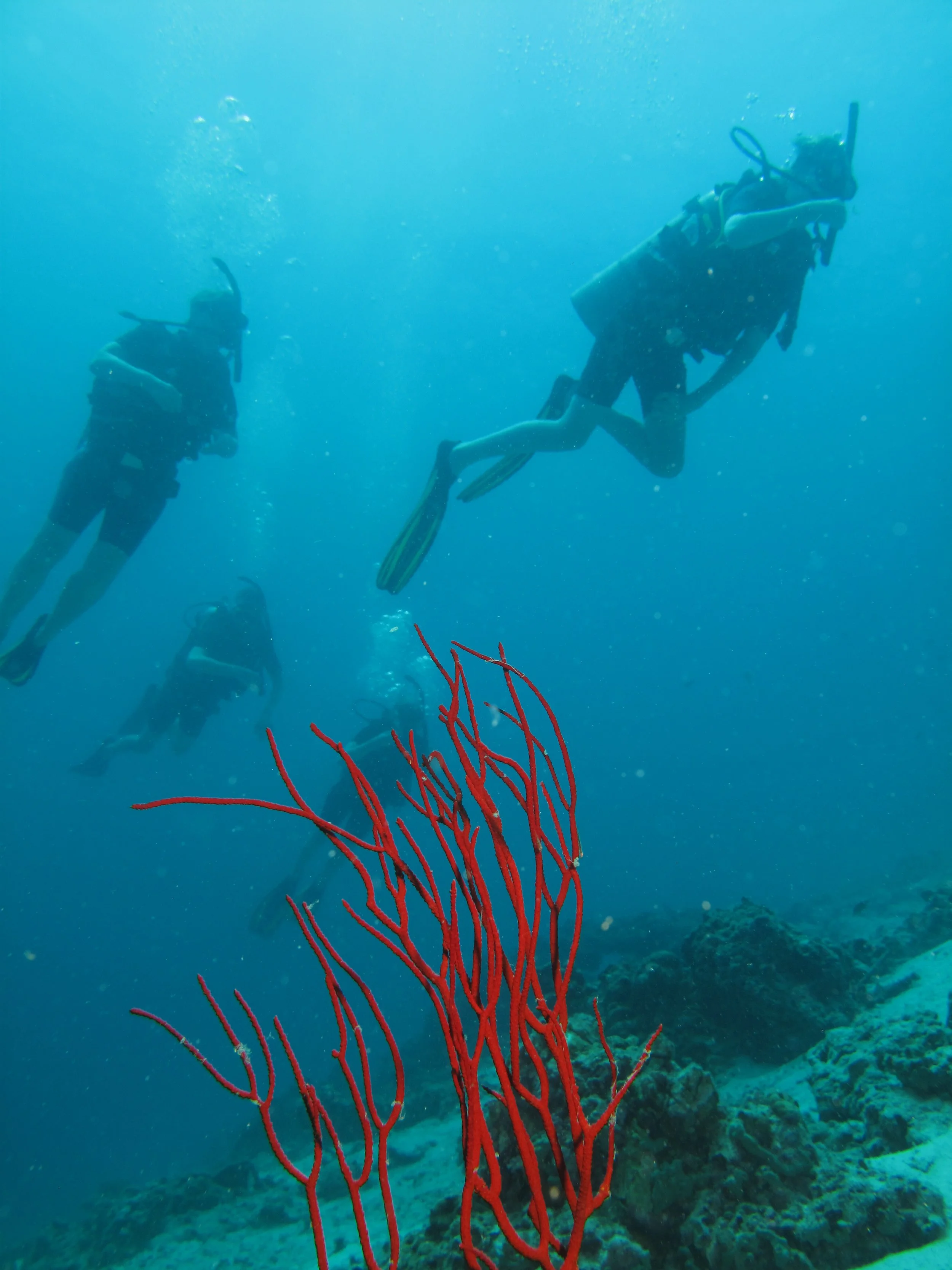 2013 Koh Lanta Dive Trip Koh Ha (58).jpg