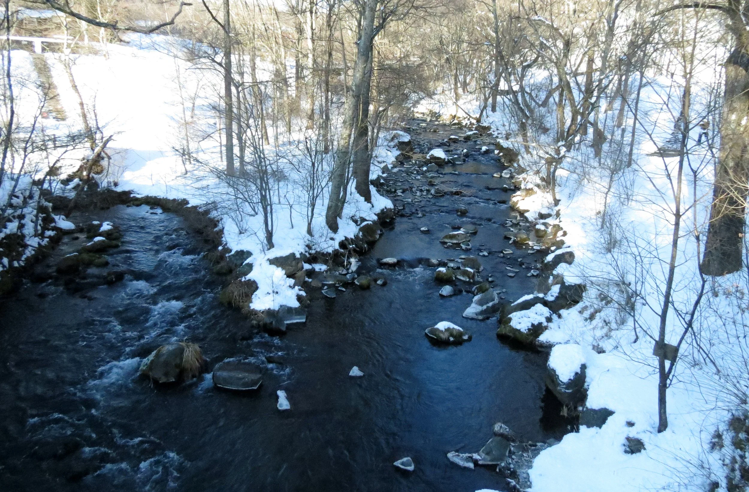 KARUIZAWA - PICCHIO TREK AND TALK (9).JPG