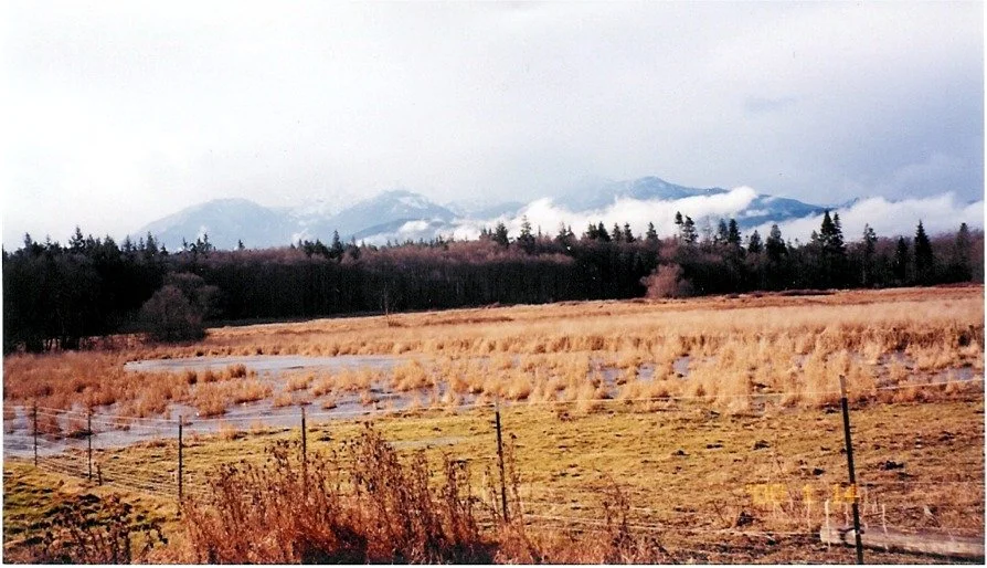 LAKE FARM - 2000 WITH WETLANDS INTACT.jpg