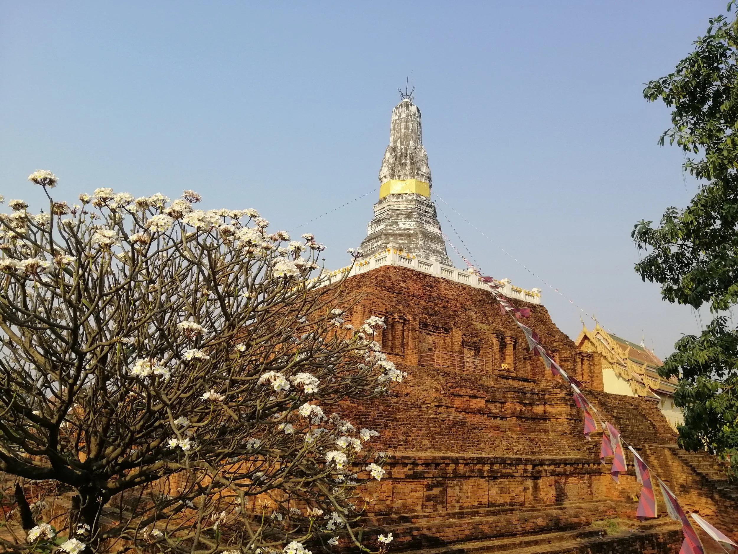 2020 Nakhon Pathom Temples & Chedis with Cokie (54).jpg