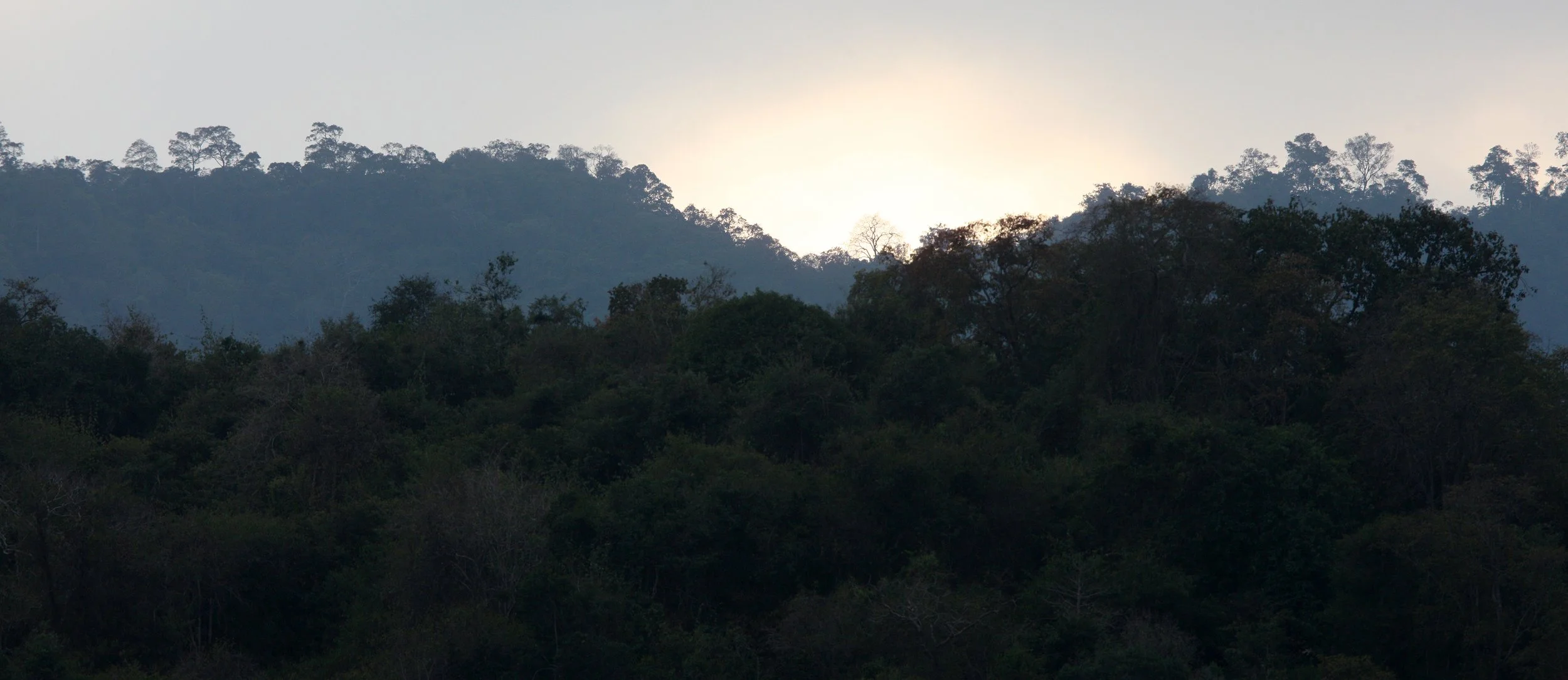 2008 Khao Luang NP Krung Chin Waterfalls Area (26).JPG