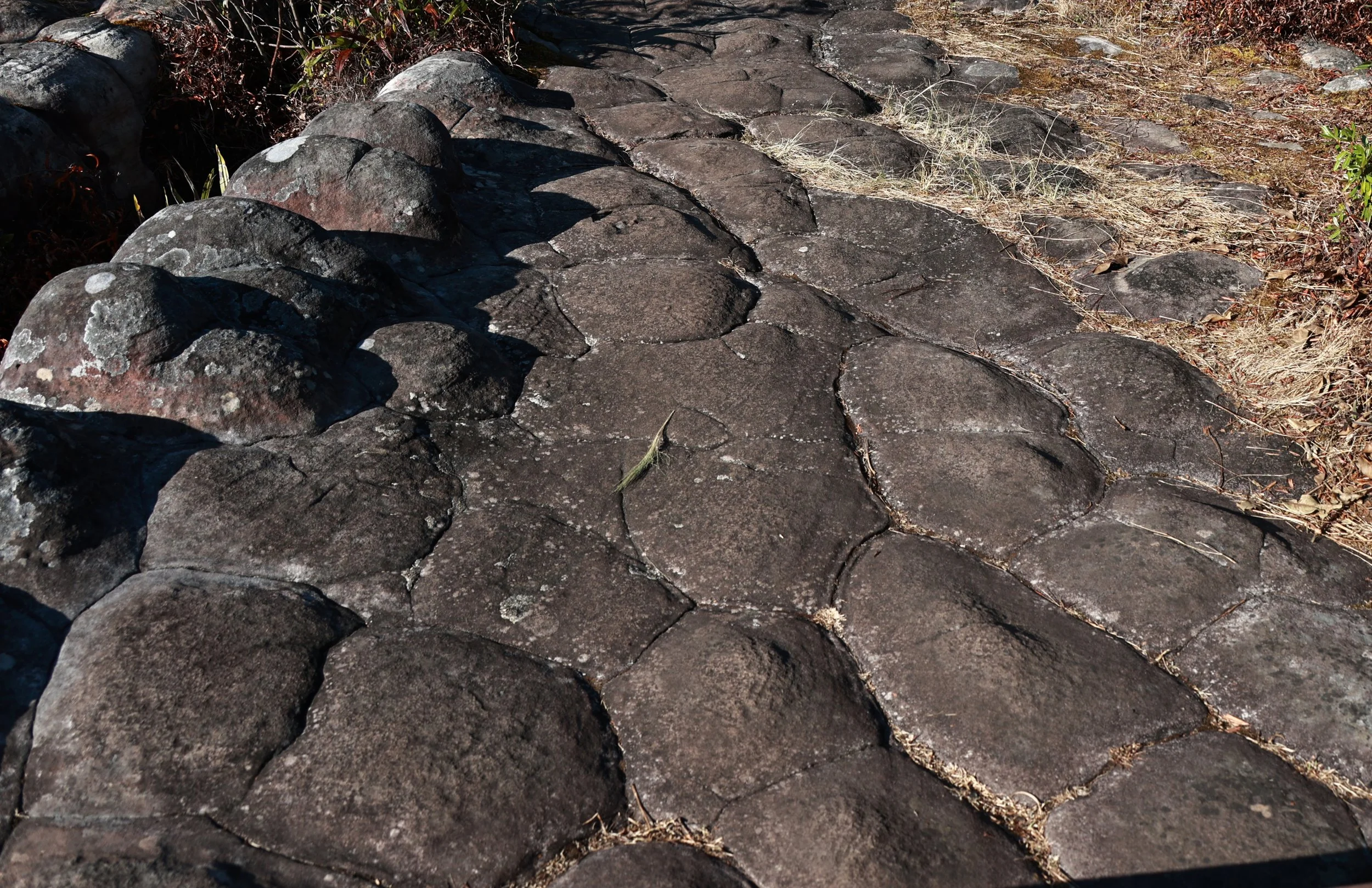 Phu Hin Rong Kla National Park Loei Province (71).jpg