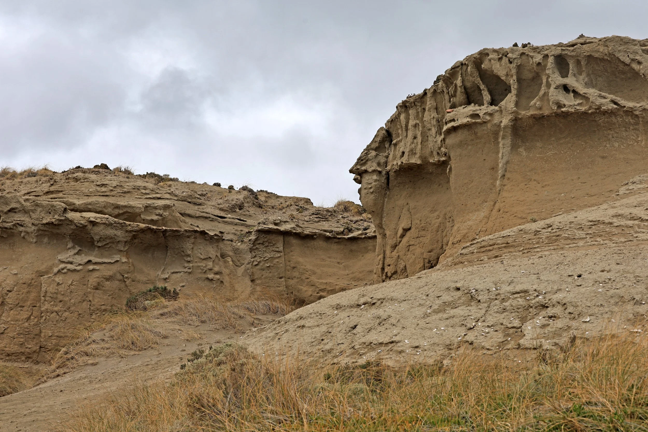 Puerto Pyramides, Valdes Peninsula, Chubut Province, Argentina (75).jpg