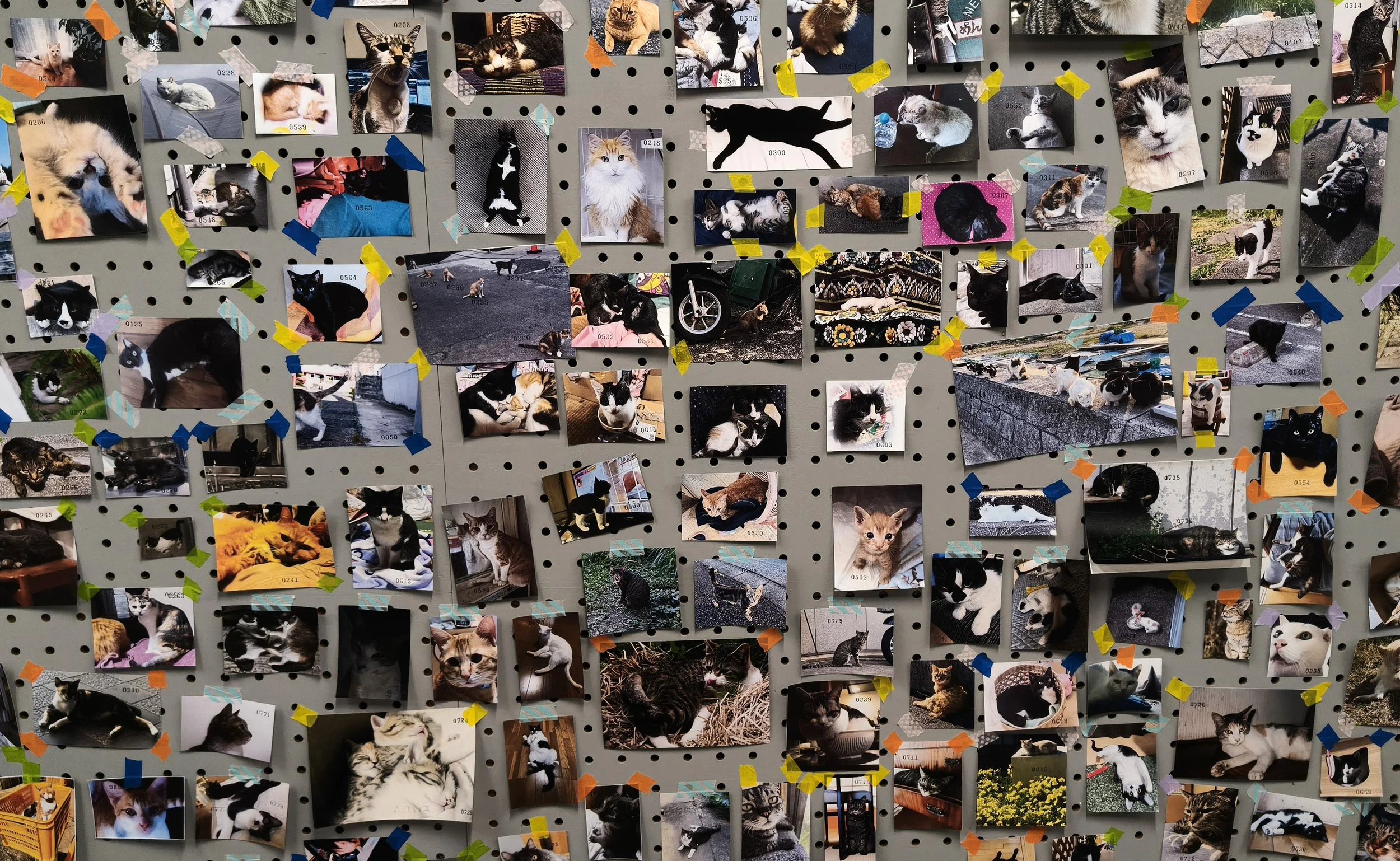 Minamata Disease Museum Kagoshima Japan (8).jpg