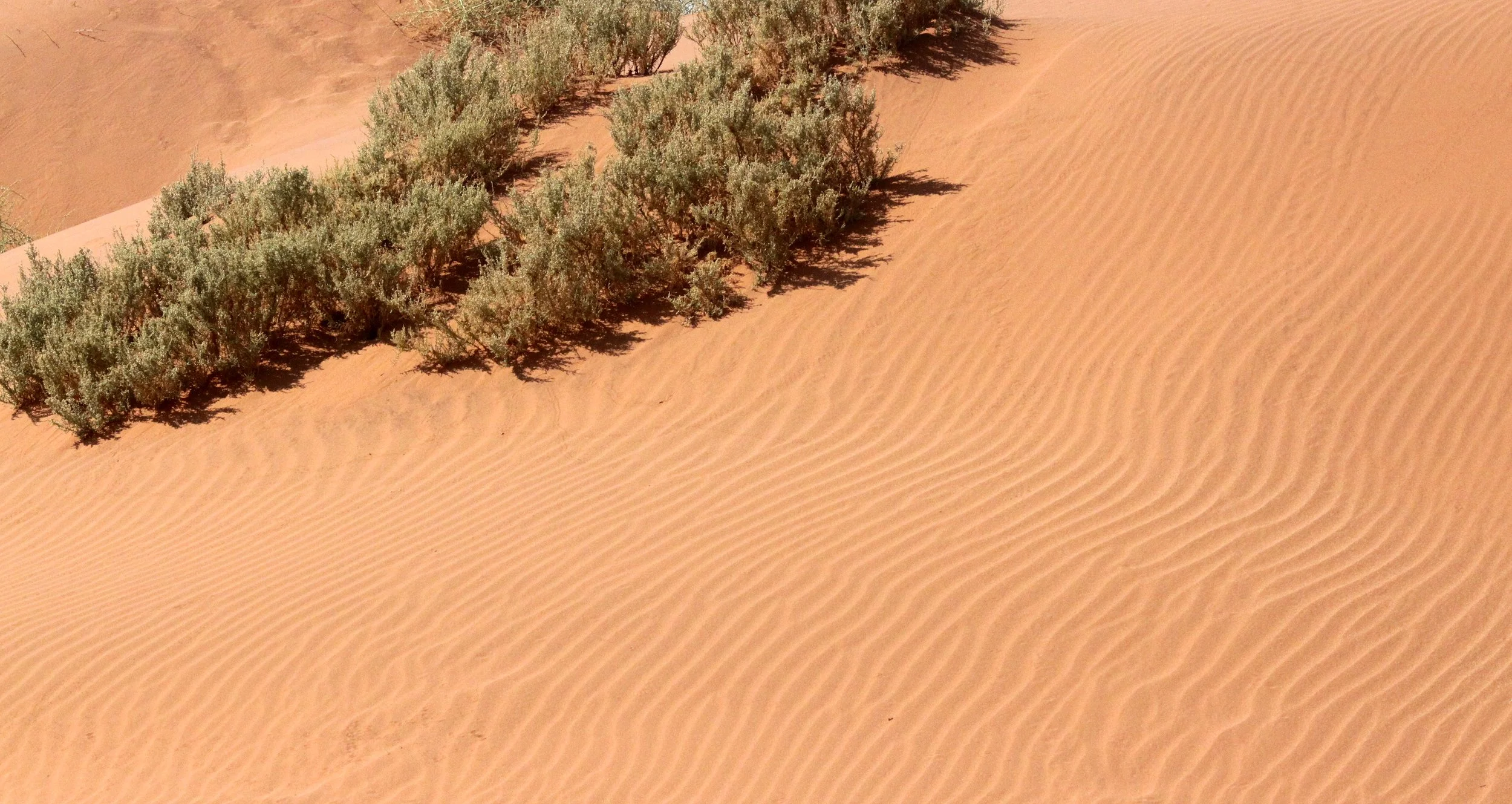 SOSSUSVLEI, NAMIB NAUKLUFT NATIONAL PARK, NAMIBIA (52).JPG