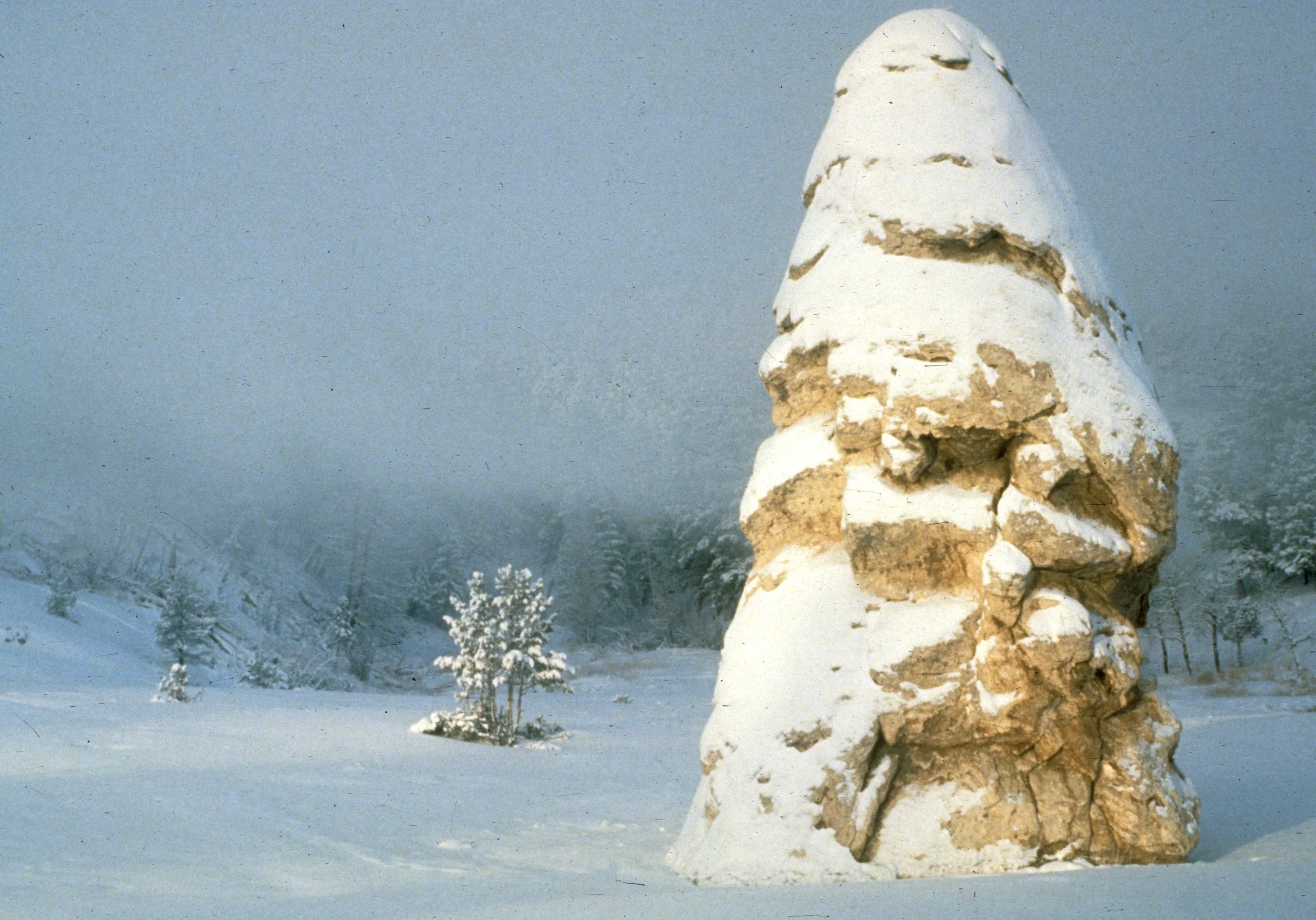 YELLOWSTONE - THE YELLOWSTONE.jpg