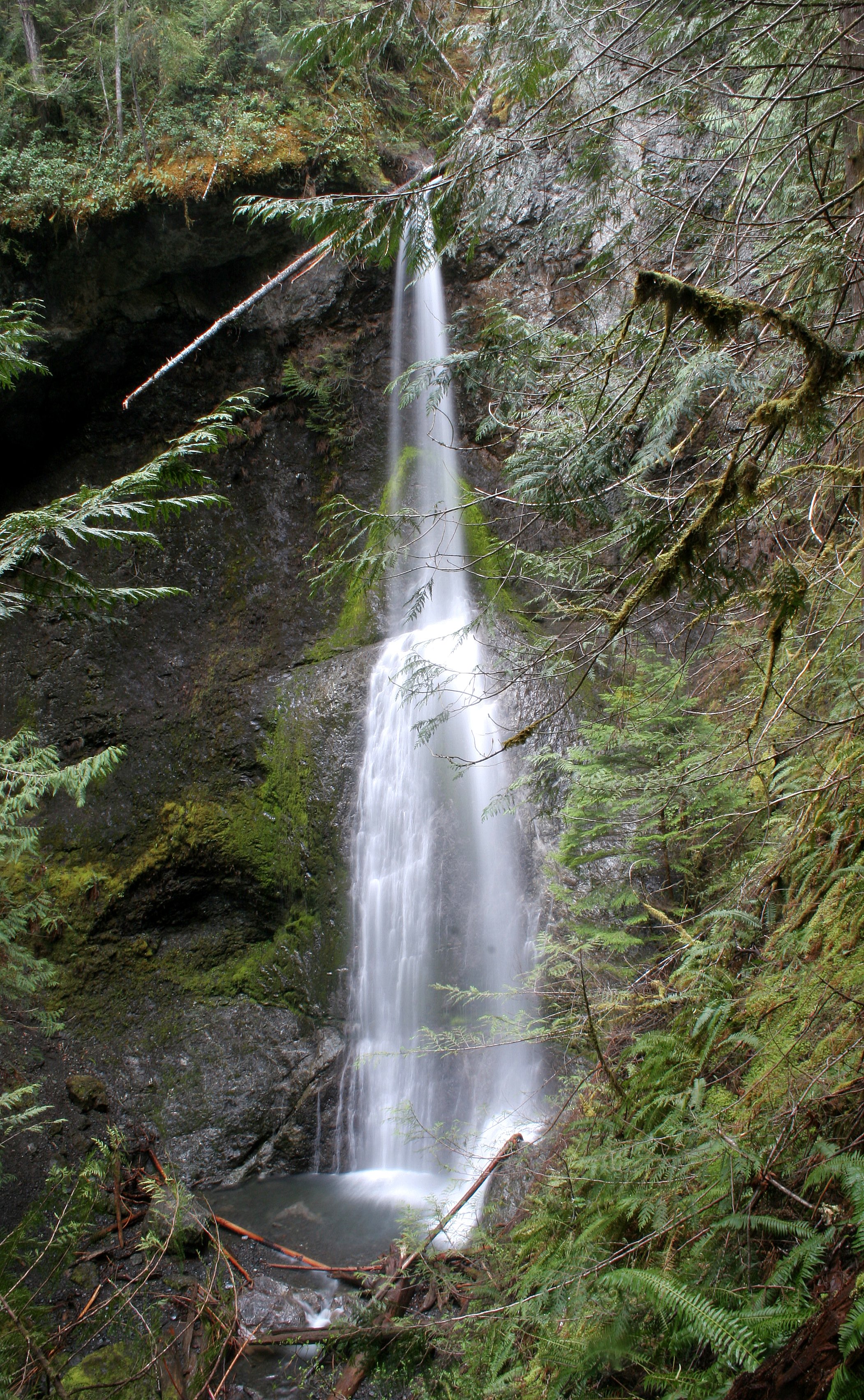 MARYMERE FALLS (2).JPG