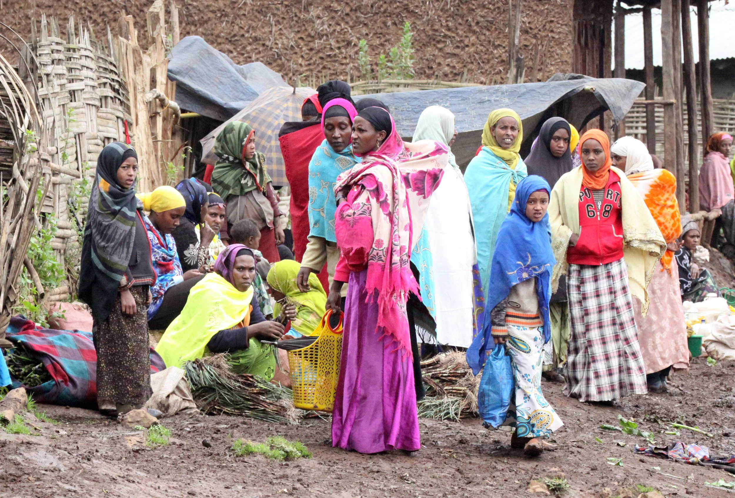 BALE MOUNTAINS NATIONAL PARK ETHIOPIA - HARRENA FOREST (17).JPG