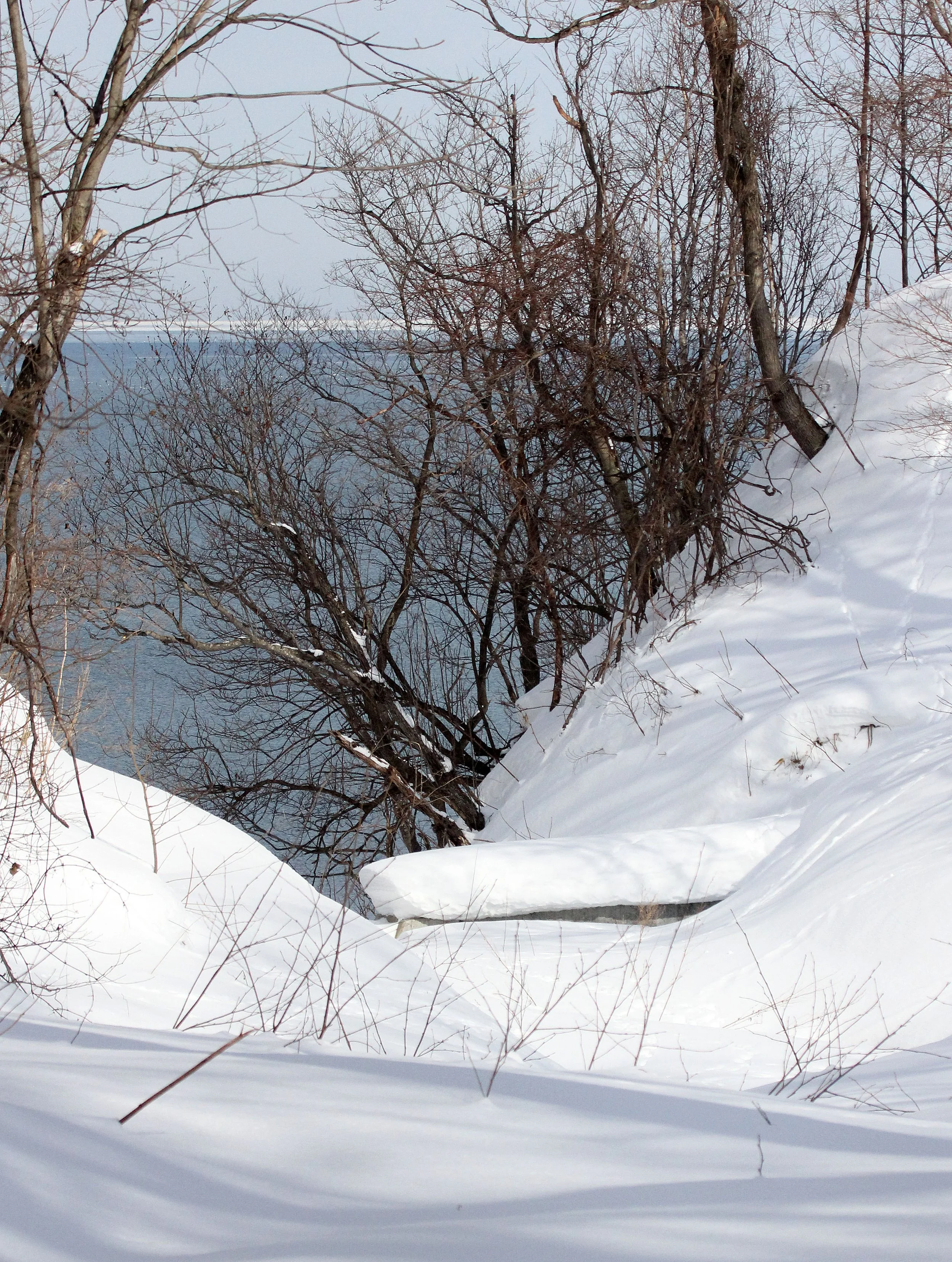 KINOHIROBA PARK - ABASHIRI - HOKKAIDO JAPAN (38).JPG
