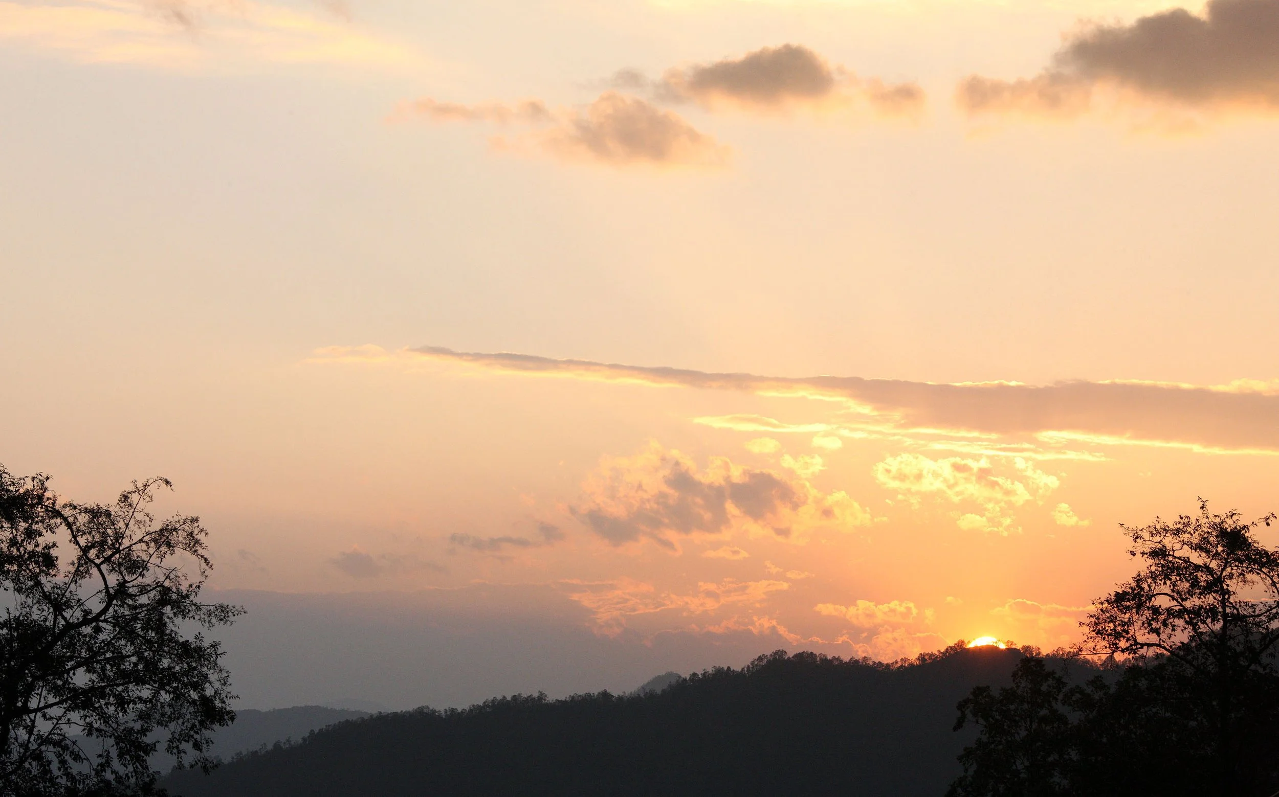 YUNNAN - WULIANGSHAN NATURE RESERVE AND SURROUNDING REGION (60).JPG