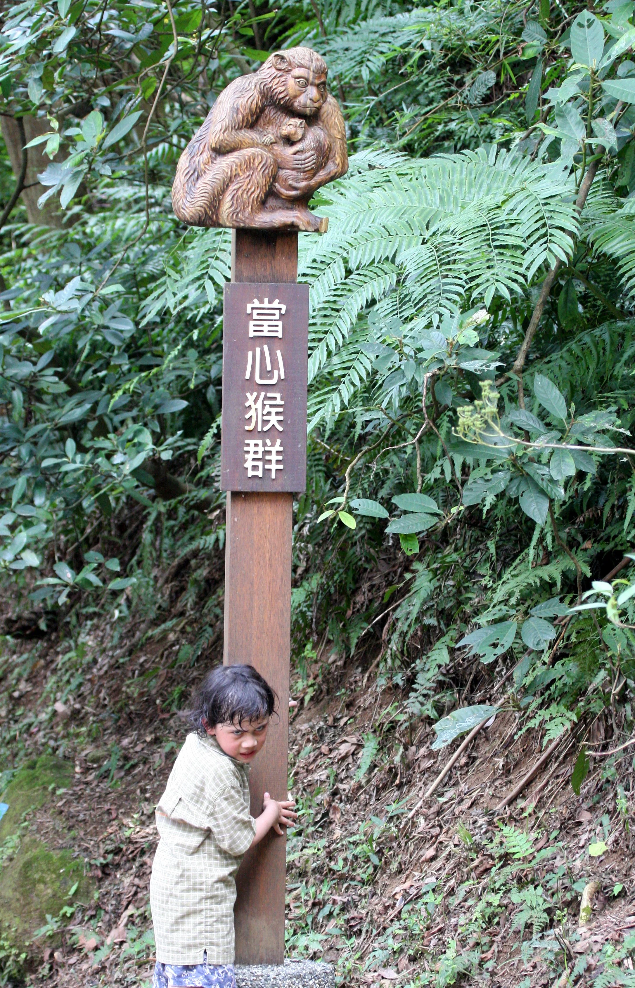 TAIPEI - MACAQUE TRAIL - LOOKING FOR FORMOSAN MACAQUE (3).JPG