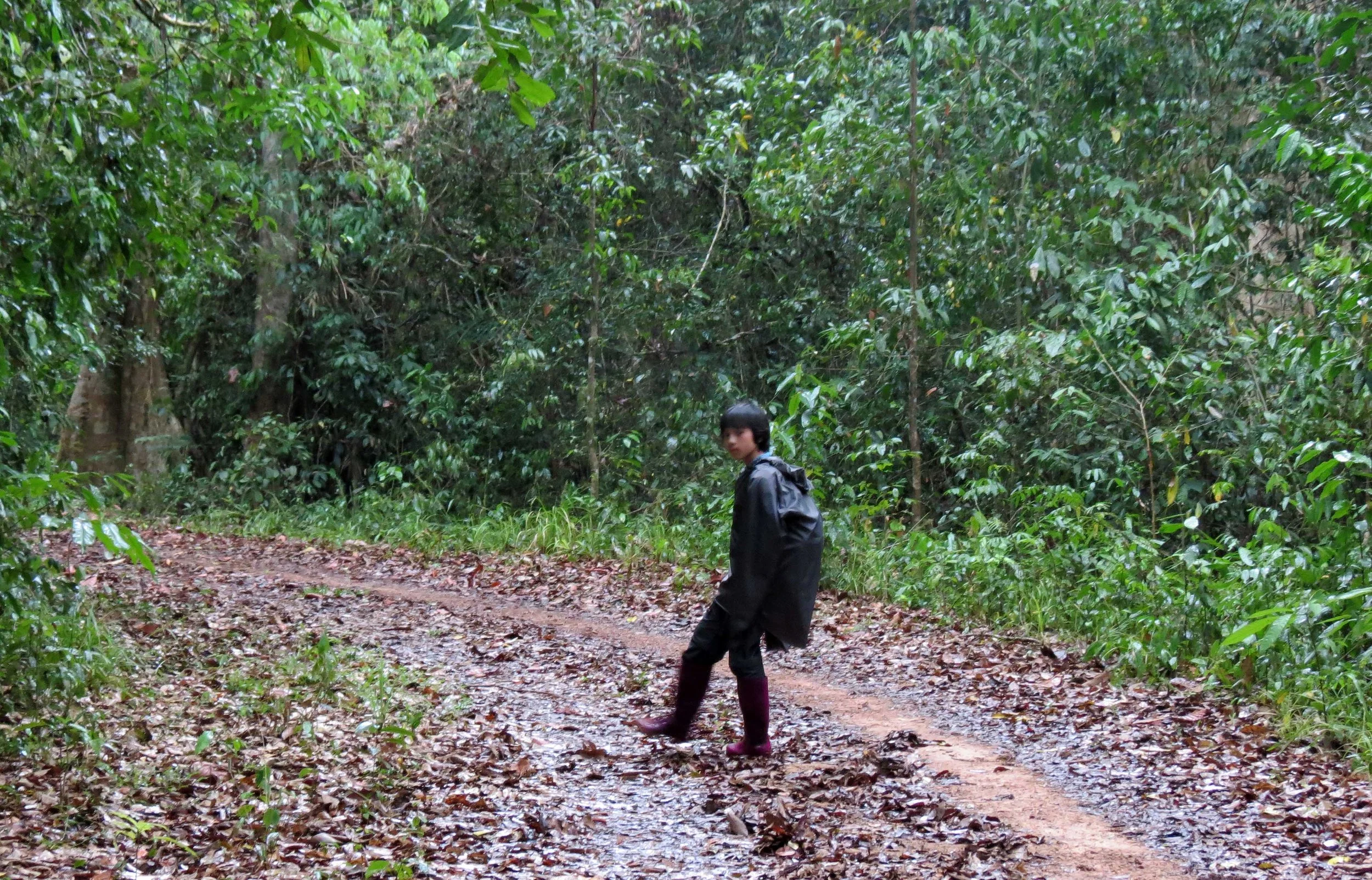 CAT TIEN NATIONAL PARK VIET NAM (99).JPG