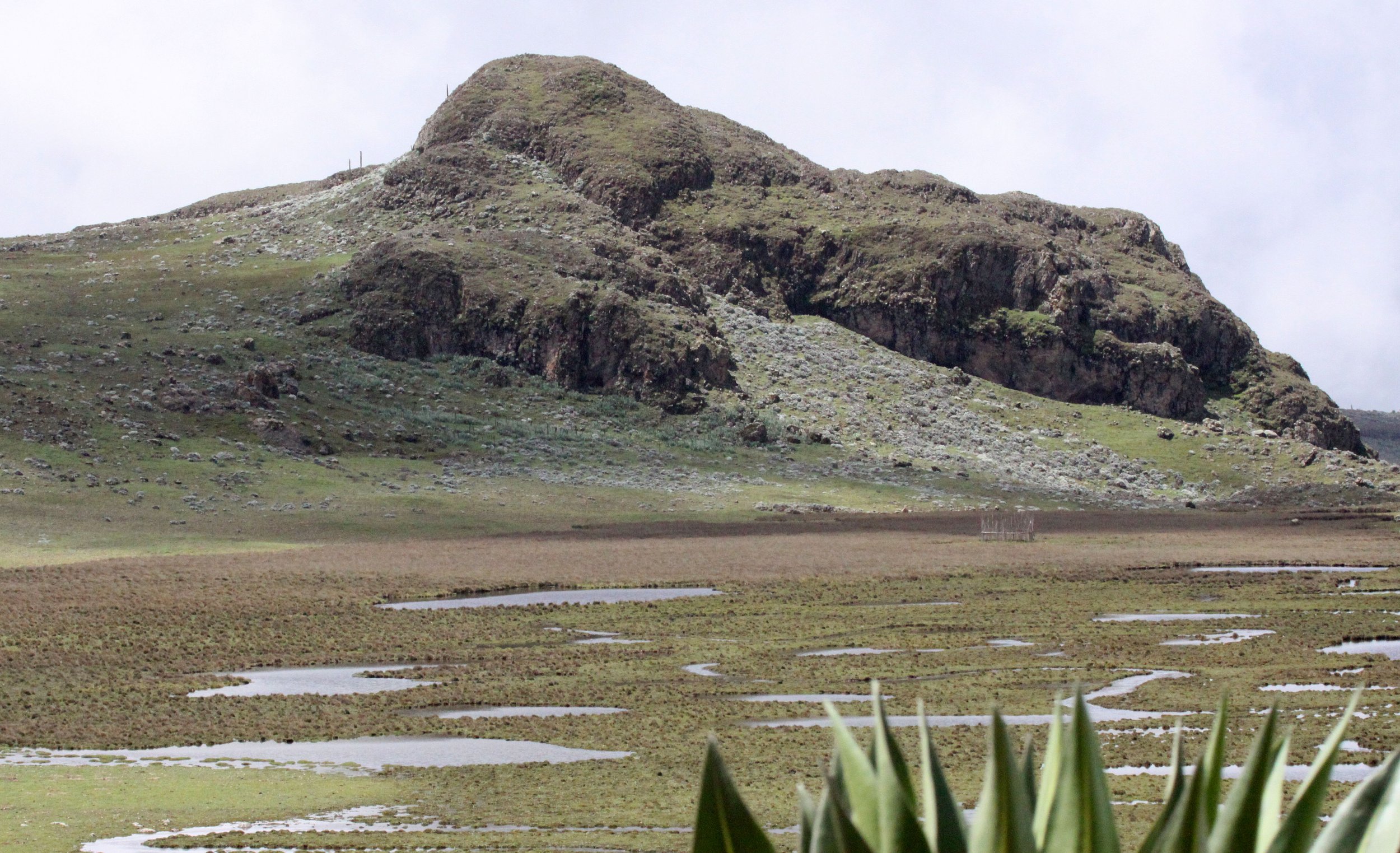 BALE MOUNTAINS NATIONAL PARK ETHIOPIA (74).JPG