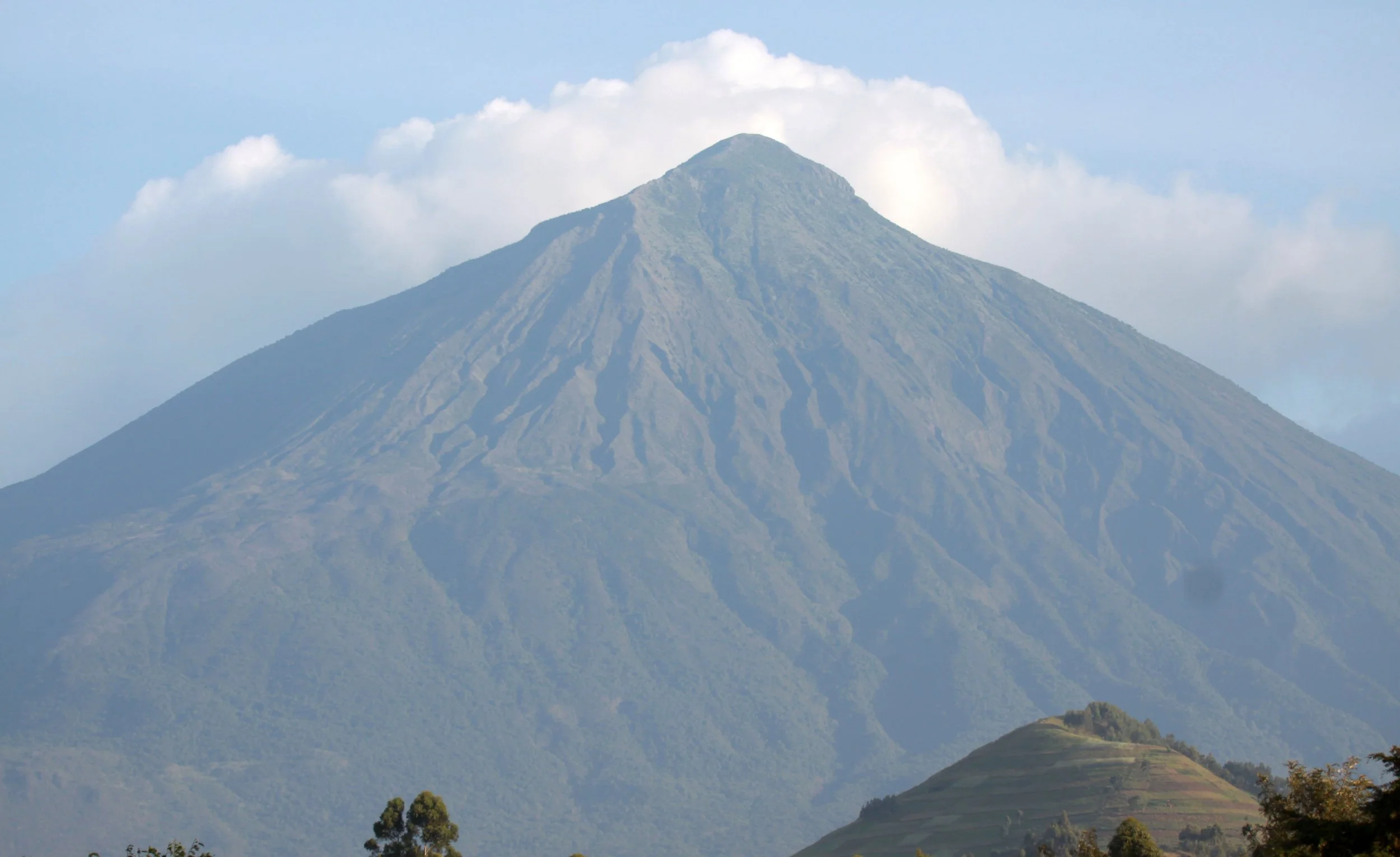 PARC DU VULCANS RWANDA (3).JPG
