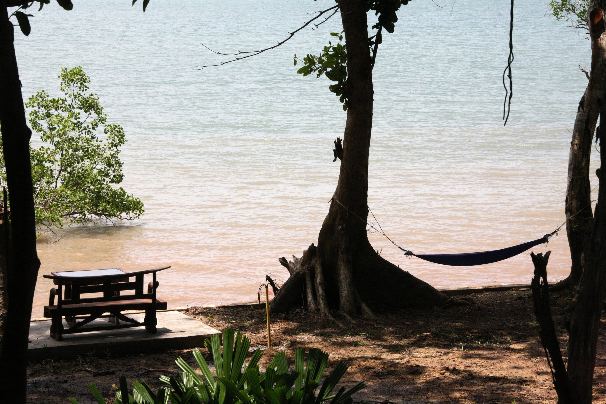 2016 Koh Lanta TheOtherSideVillas - Colugo (18).JPG