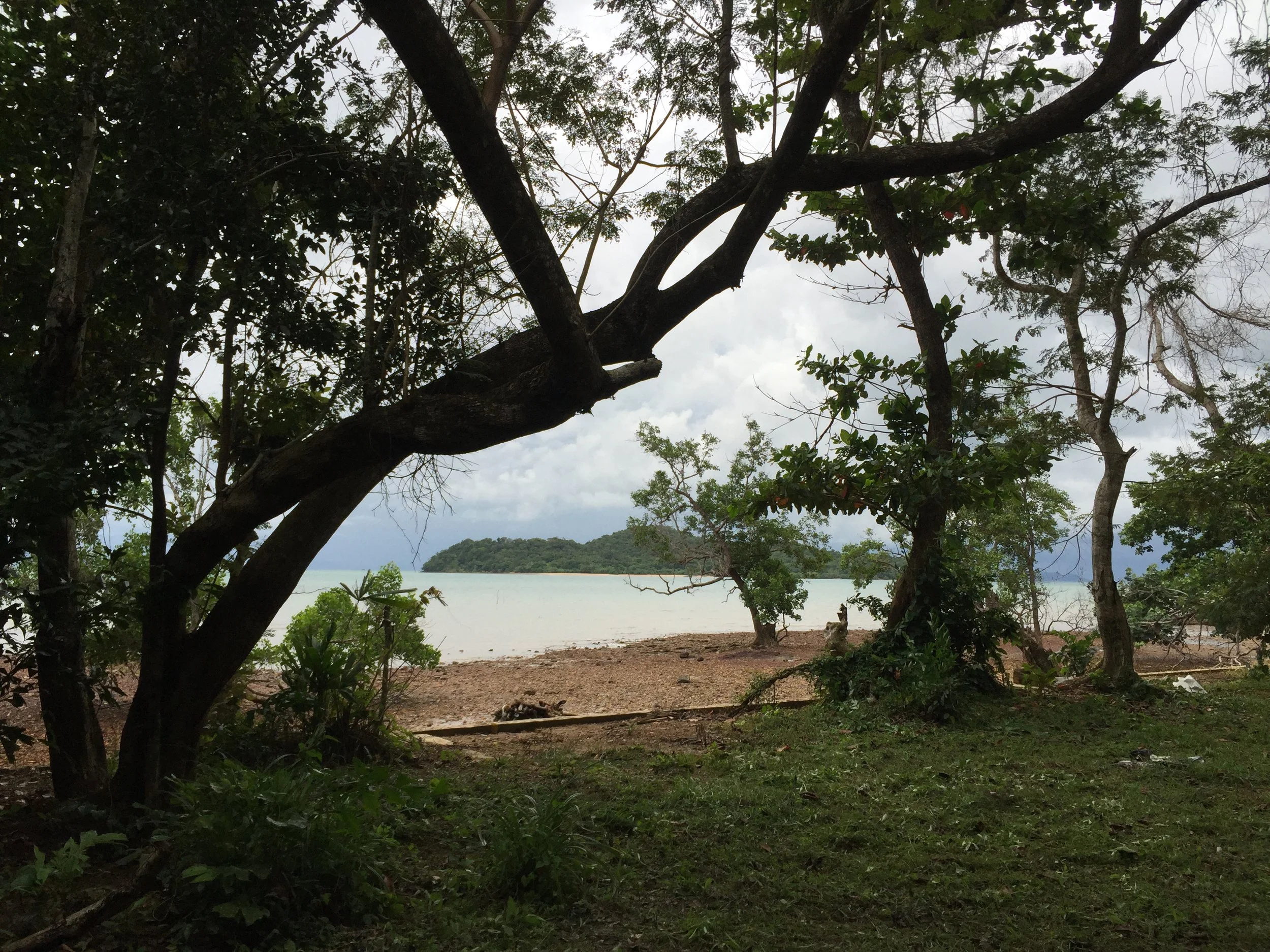 2015 Koh Lanta Garden & Nature (184).JPG
