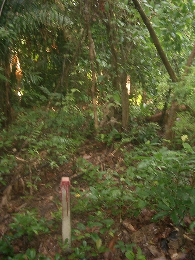 KOH LANTA - PROPERTY - 2004 (72).JPG