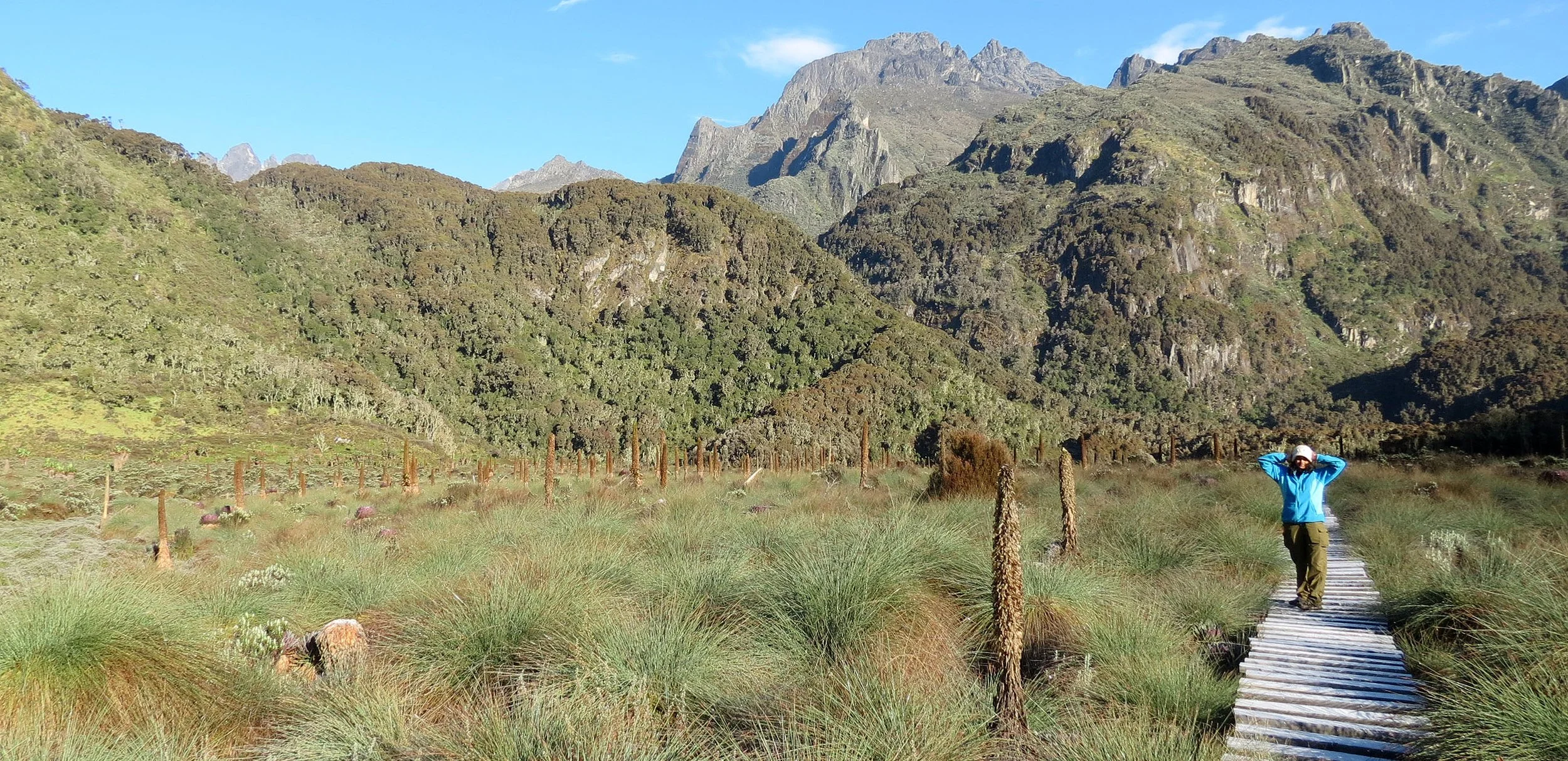 RWENZORI NATIONAL PARK UGANDA (256).JPG