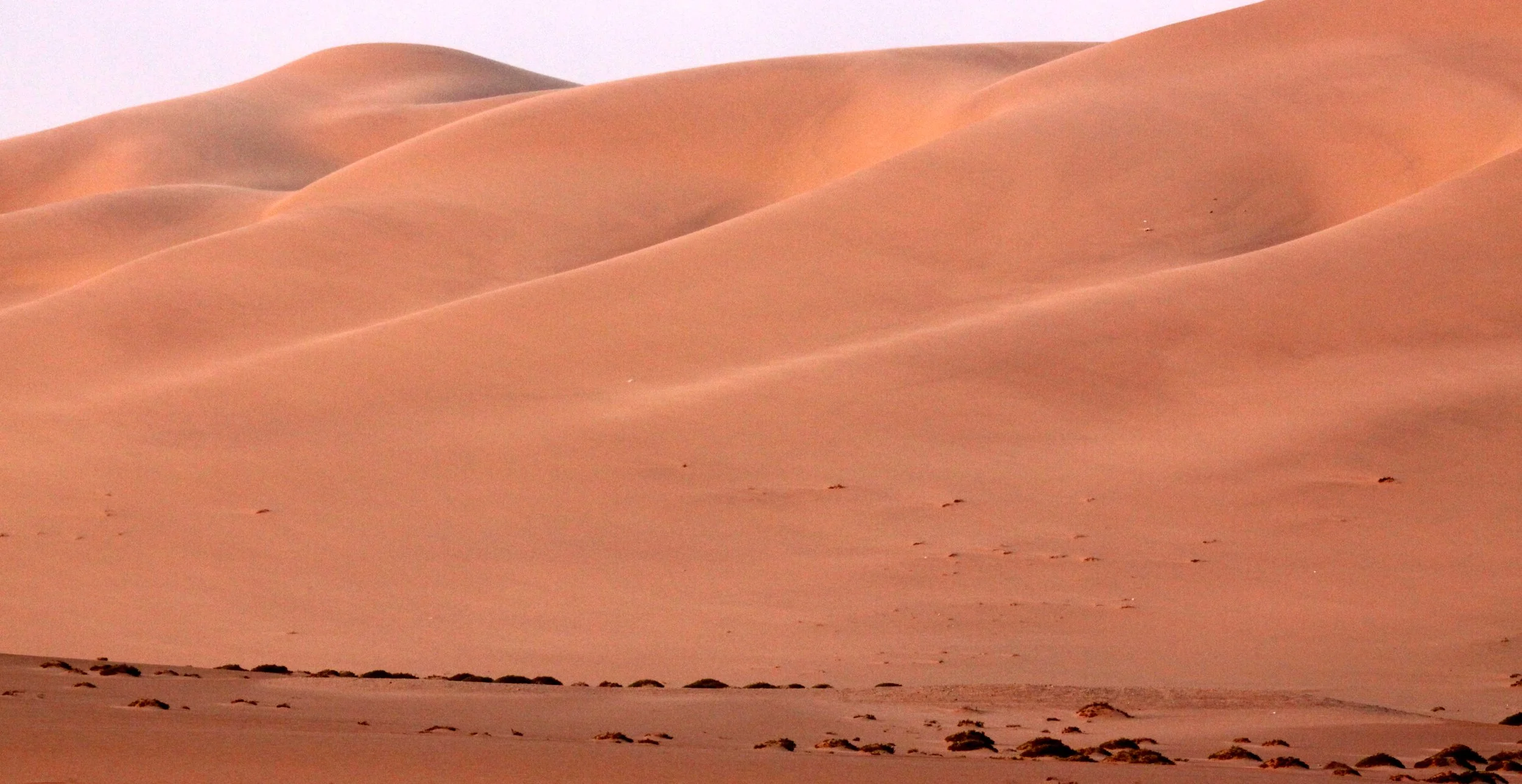 NAMIBIA - SKELETON COAST NATIONAL PARK - SCENES ALONG THE COAST (7).JPG