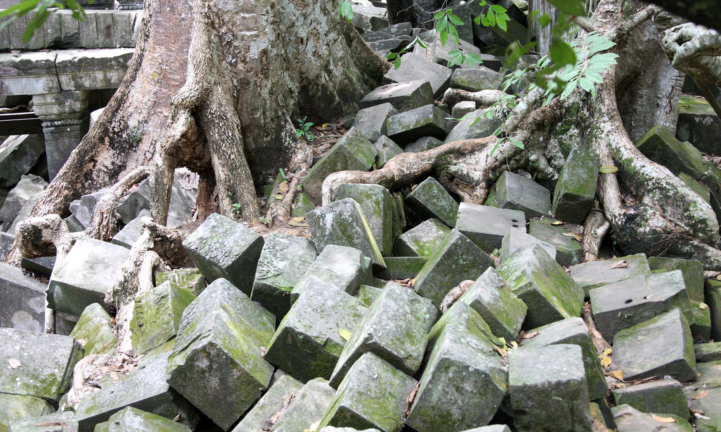 BENG MEALEA - CAMBODIA - JULY 2010 (31).JPG