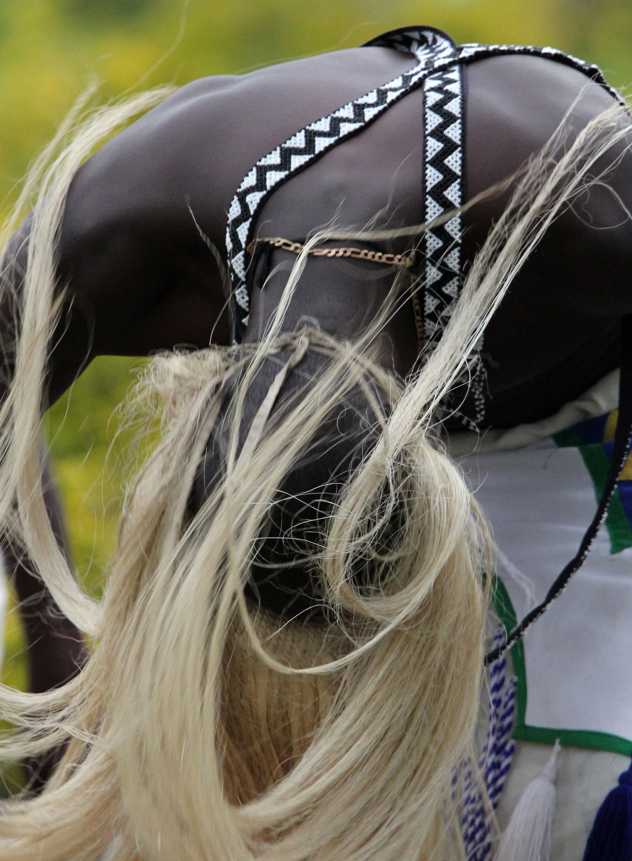 PARC DU VULCANS RWANDA - SACOLA TRIBE (36).JPG