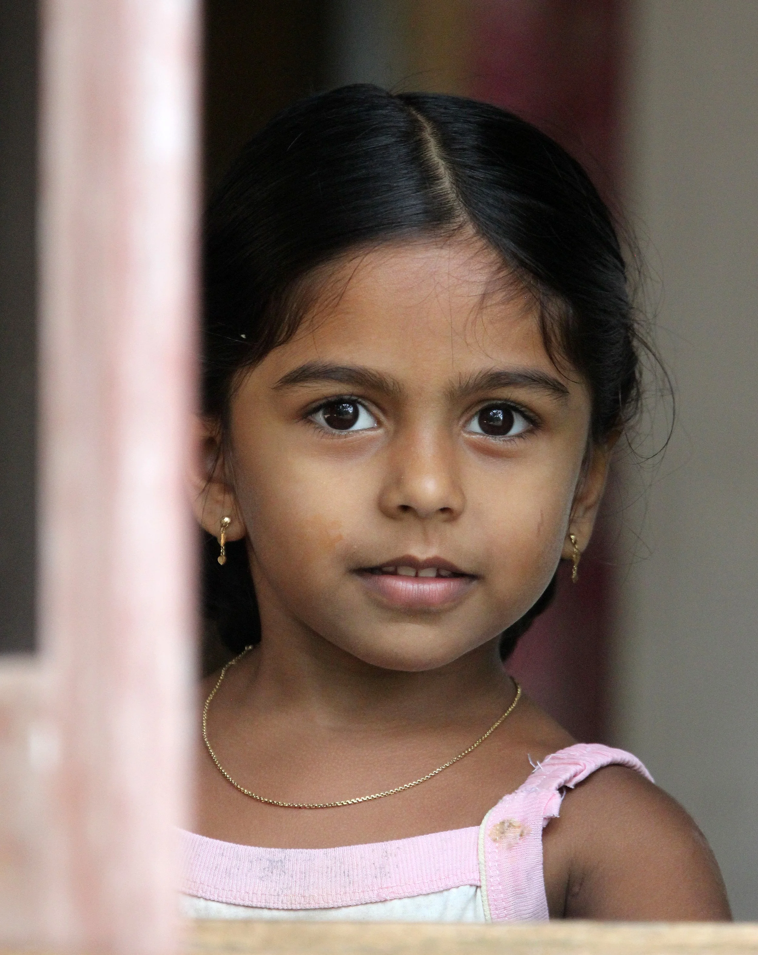 KITULGALA NATIONAL FOREST RESERVE SRI LANKA (6).JPG