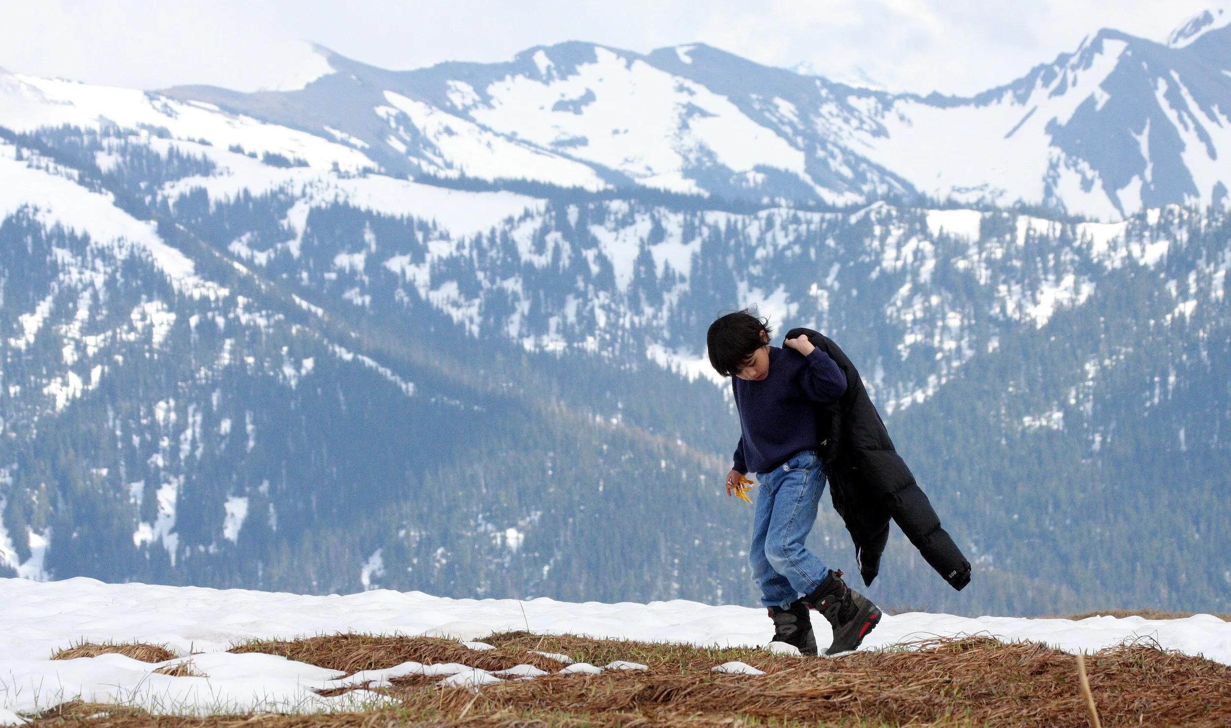 2008-5-31 COKIE WALKING HURRICANE RIDGE (4).JPG