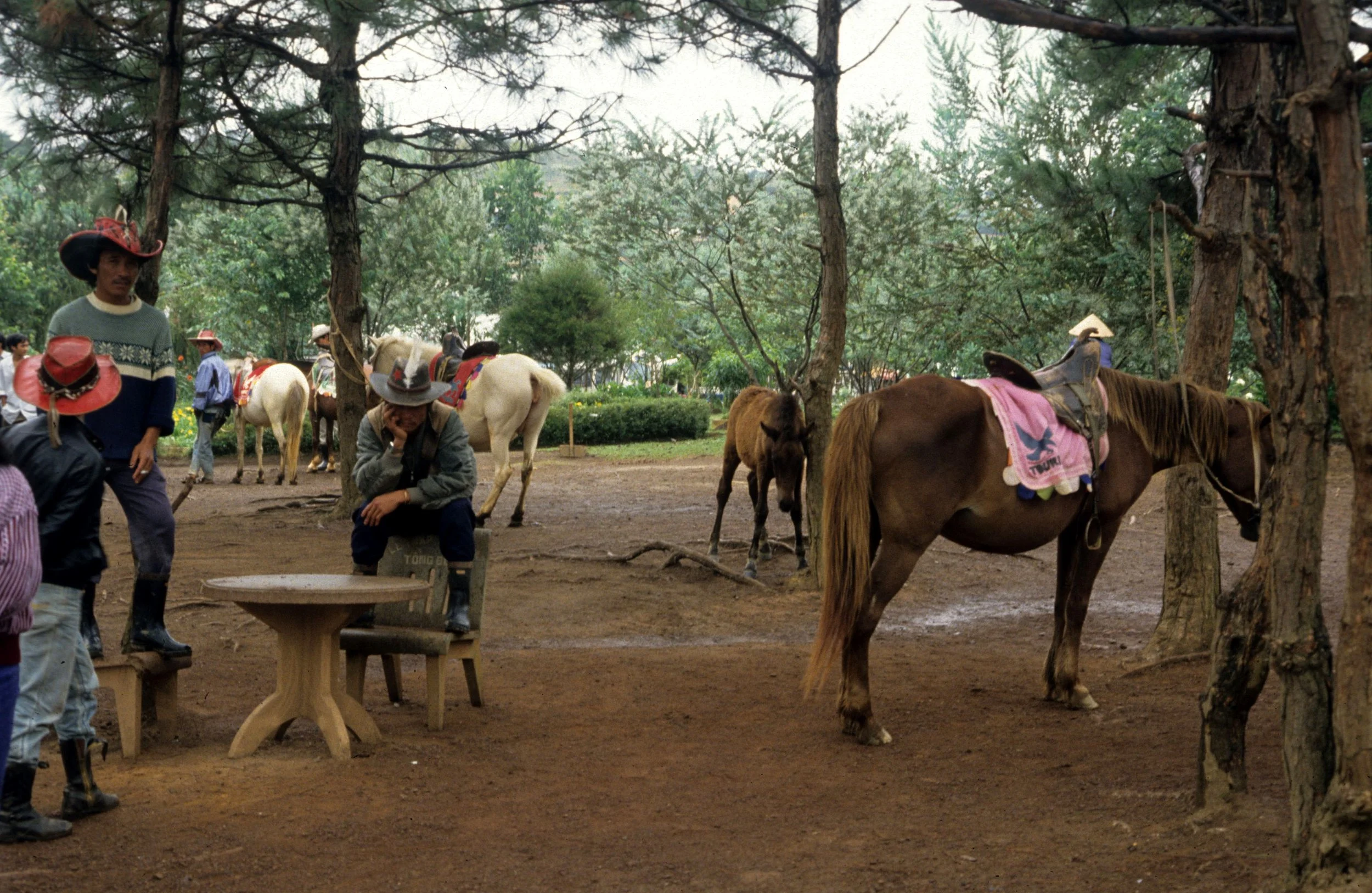 DALAT - DALAT COWBOYS.jpg