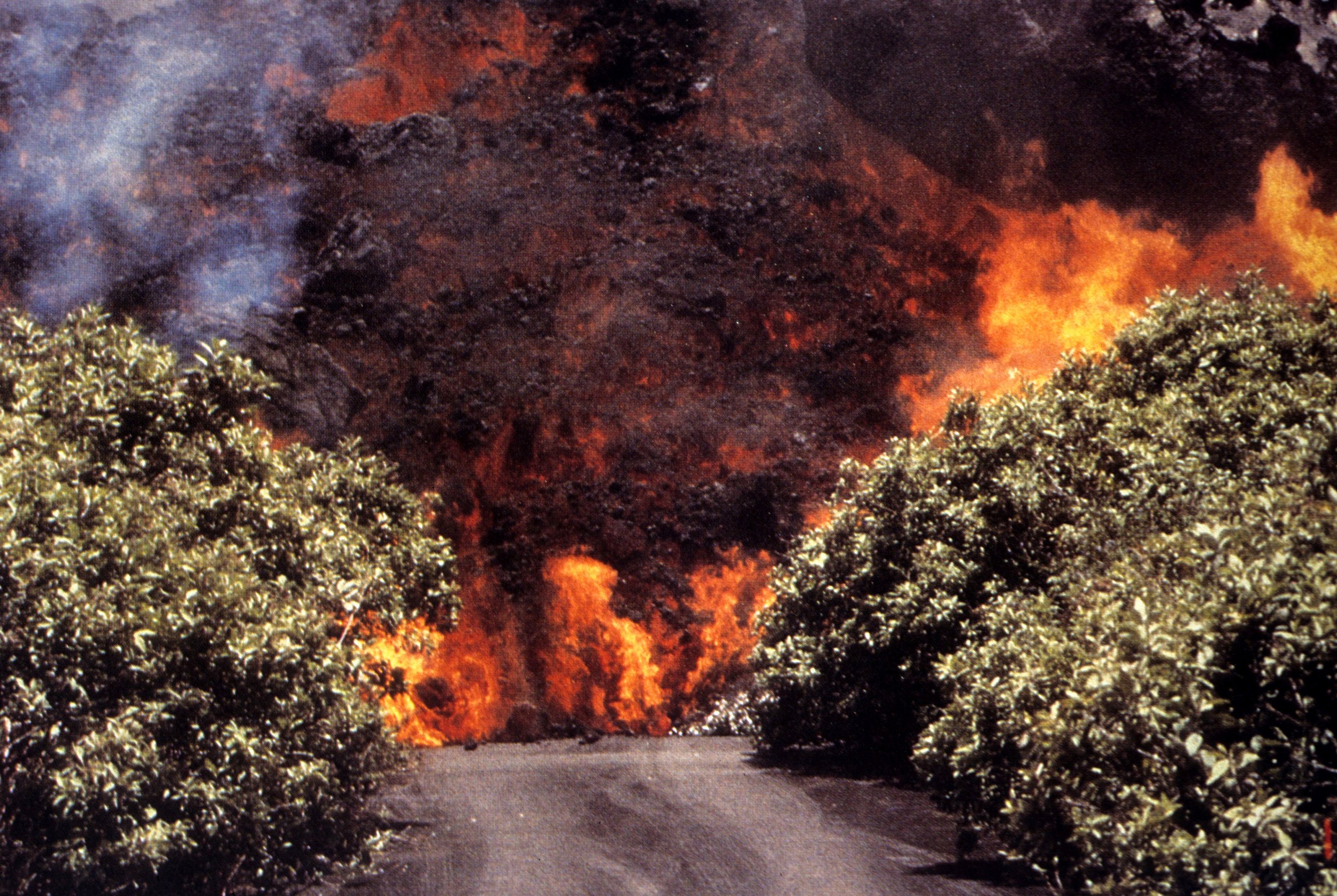 HAWAII - HAWAII - KALAPAN DISAPPEARING.jpg
