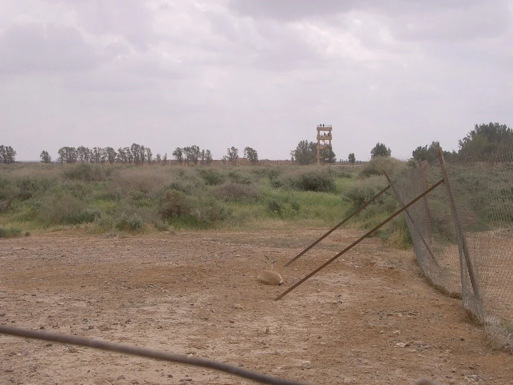 SHAUMARI CAPTIVE BREEDING CENTER (1).JPG