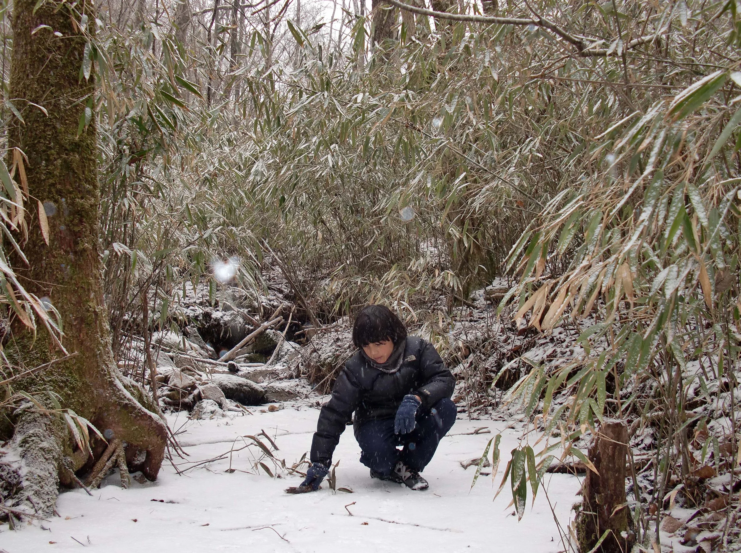 FOPING NATURE RESERVE - SHAANXI PROVINCE CHINA (50).JPG